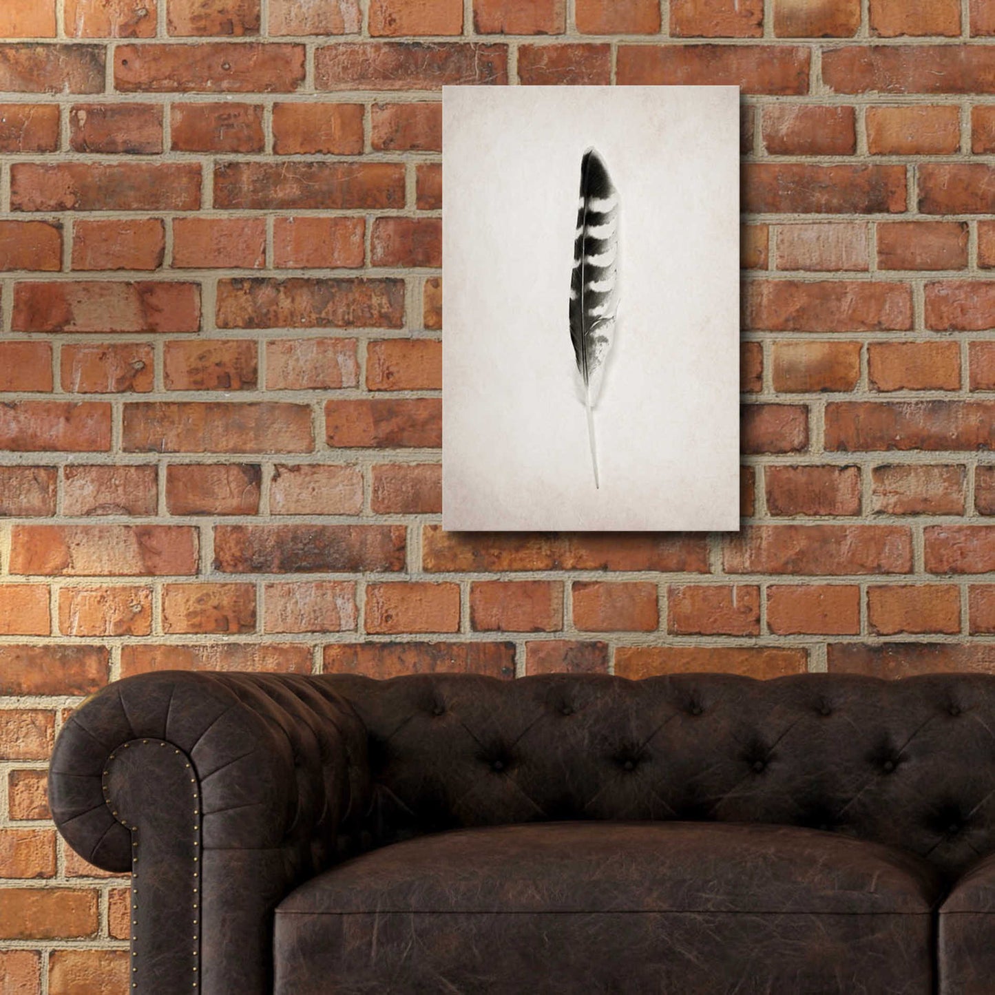 Epic Art 'Feather IV B&W' by Debra Van Swearingen, Acrylic Glass Wall Art,16x24