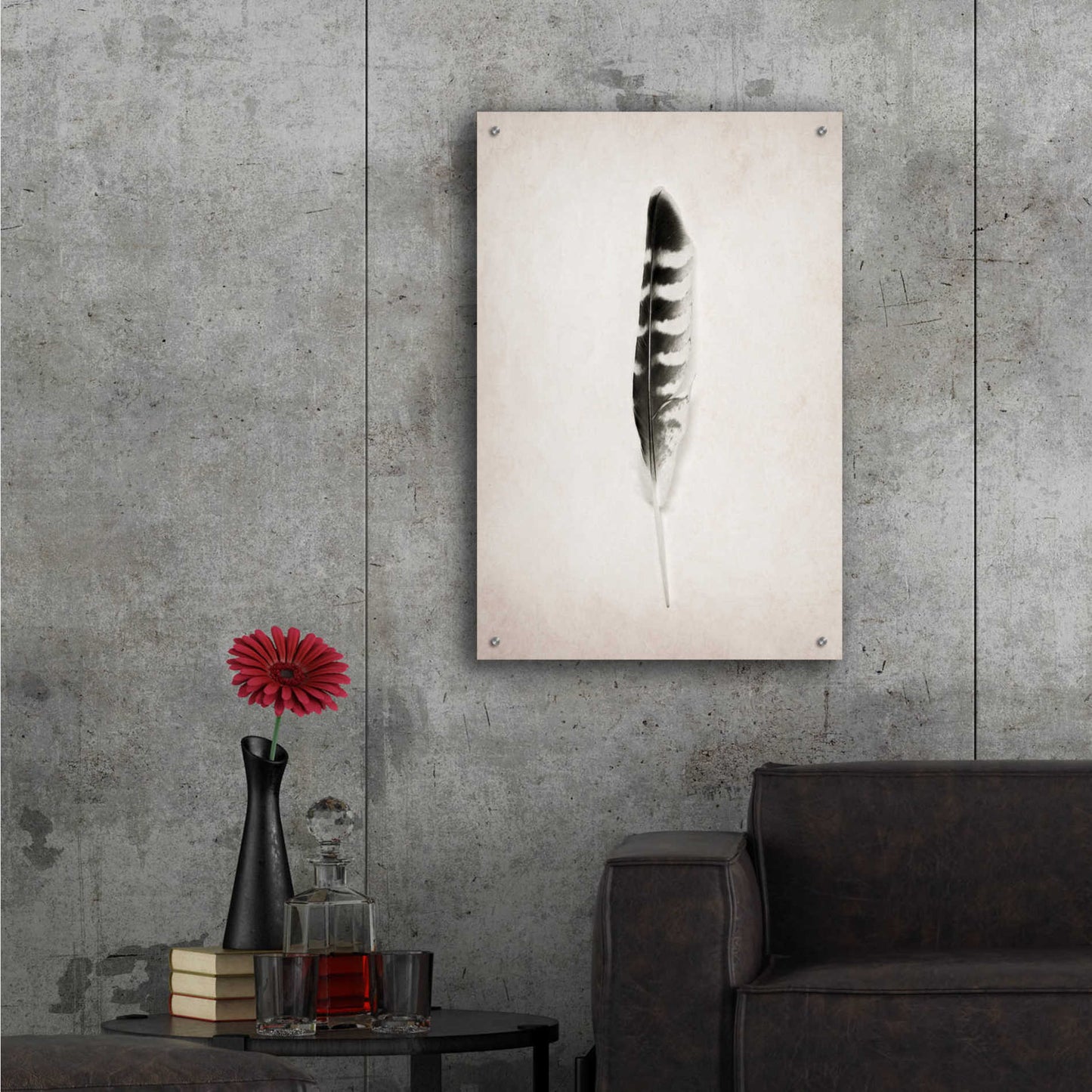 Epic Art 'Feather IV B&W' by Debra Van Swearingen, Acrylic Glass Wall Art,24x36