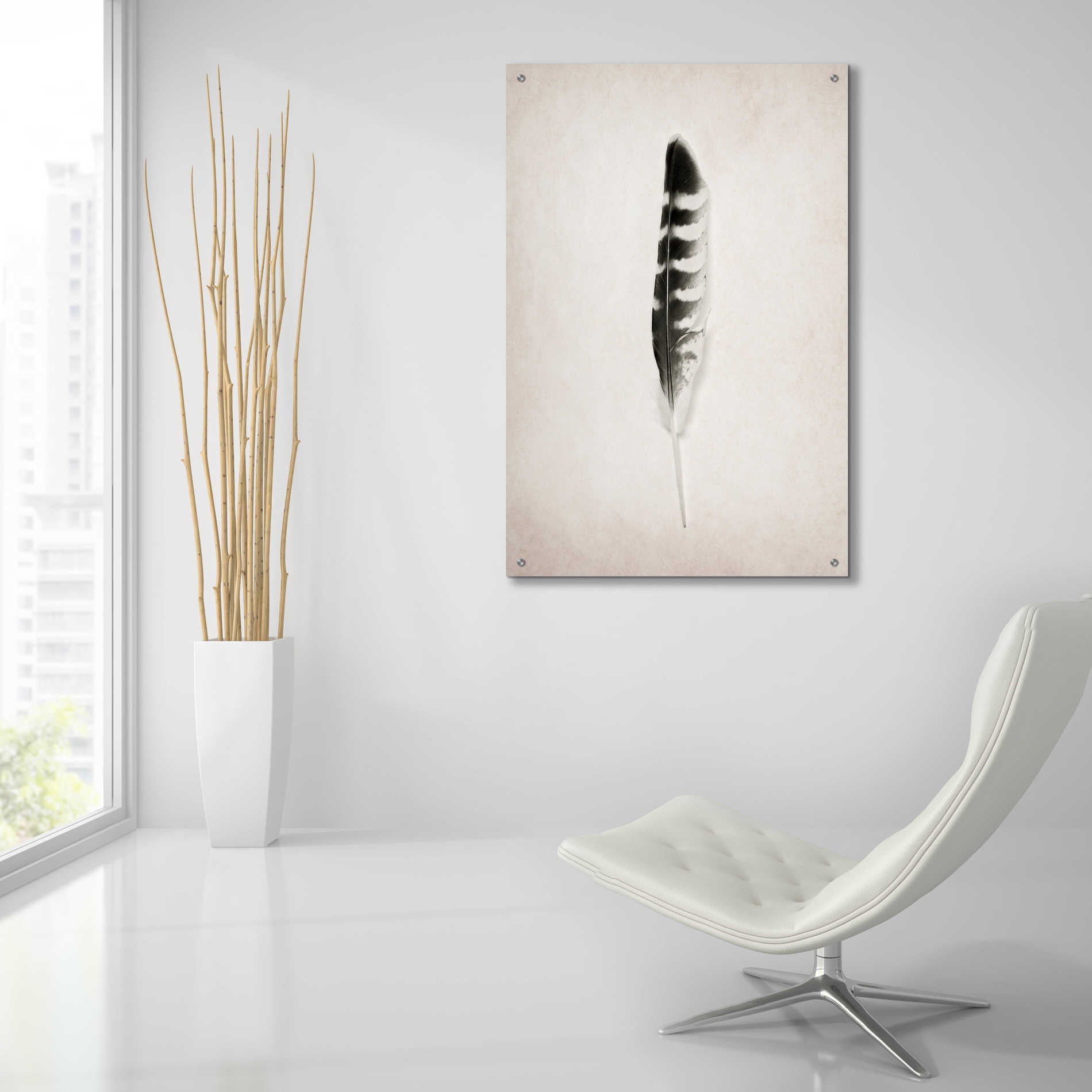 Epic Art 'Feather IV B&W' by Debra Van Swearingen, Acrylic Glass Wall Art,24x36