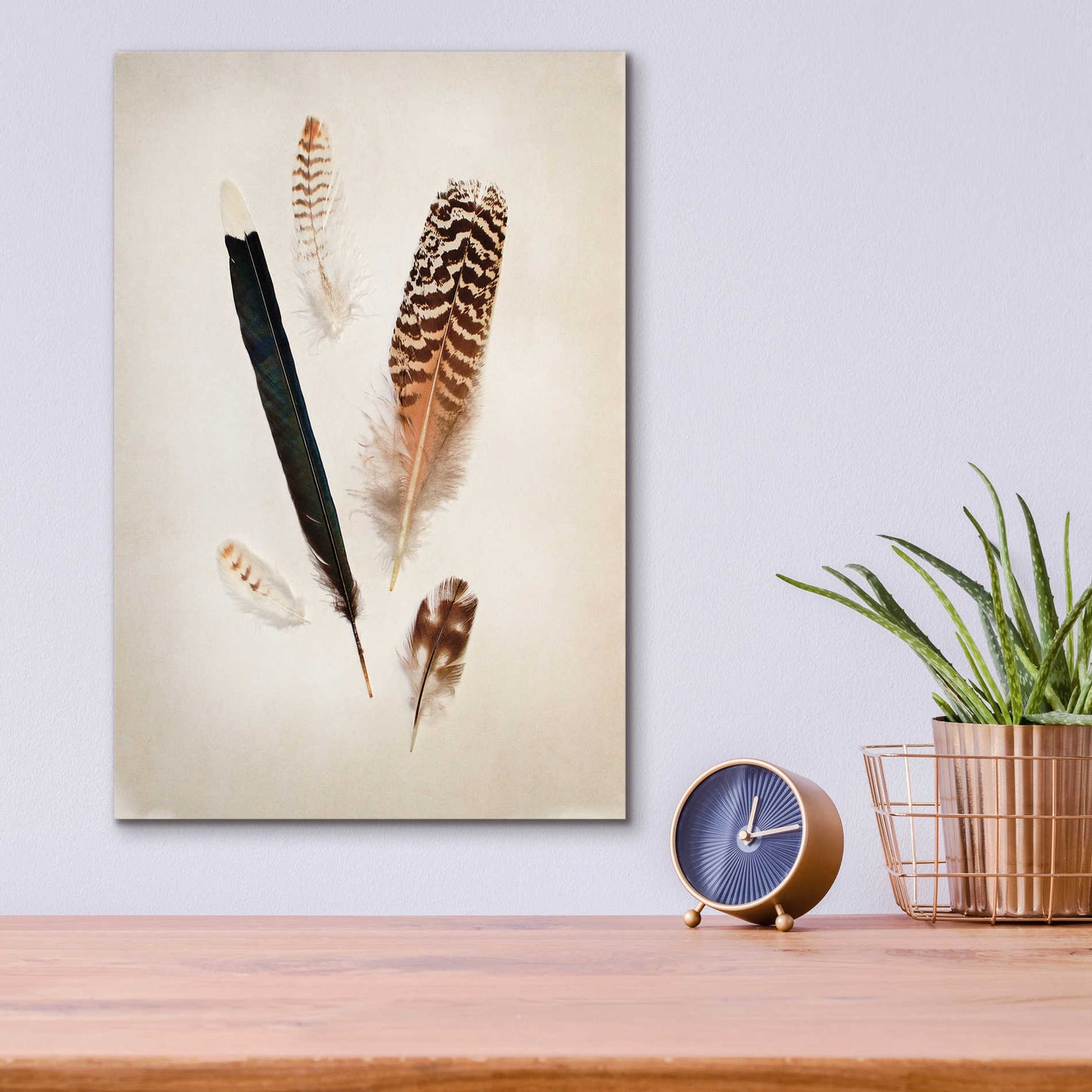 Epic Art 'Feather Group II' by Debra Van Swearingen, Acrylic Glass Wall Art,12x16