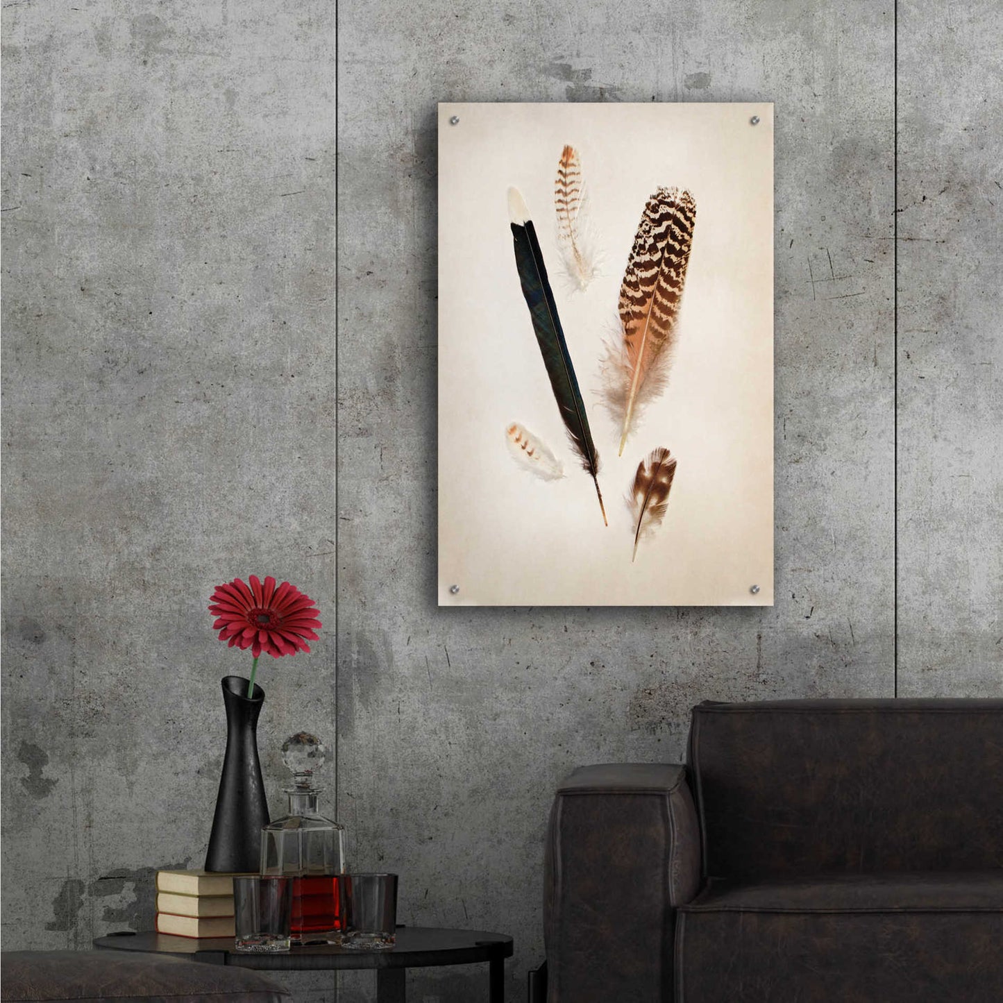 Epic Art 'Feather Group II' by Debra Van Swearingen, Acrylic Glass Wall Art,24x36