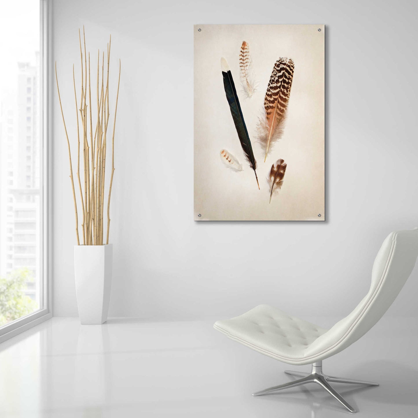 Epic Art 'Feather Group II' by Debra Van Swearingen, Acrylic Glass Wall Art,24x36