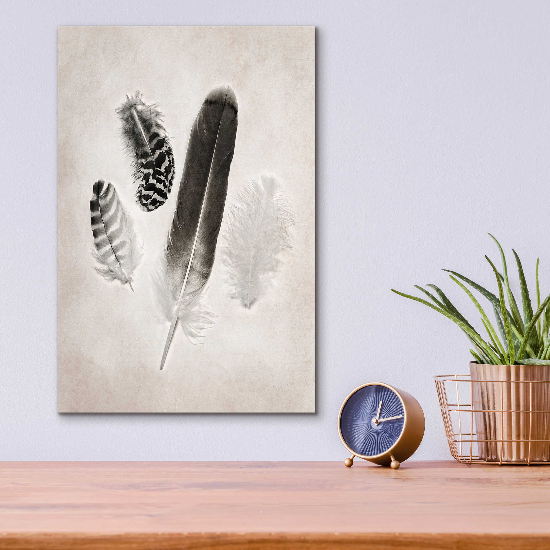 Epic Art 'Feather Group I B&W' by Debra Van Swearingen, Acrylic Glass Wall Art,12x16