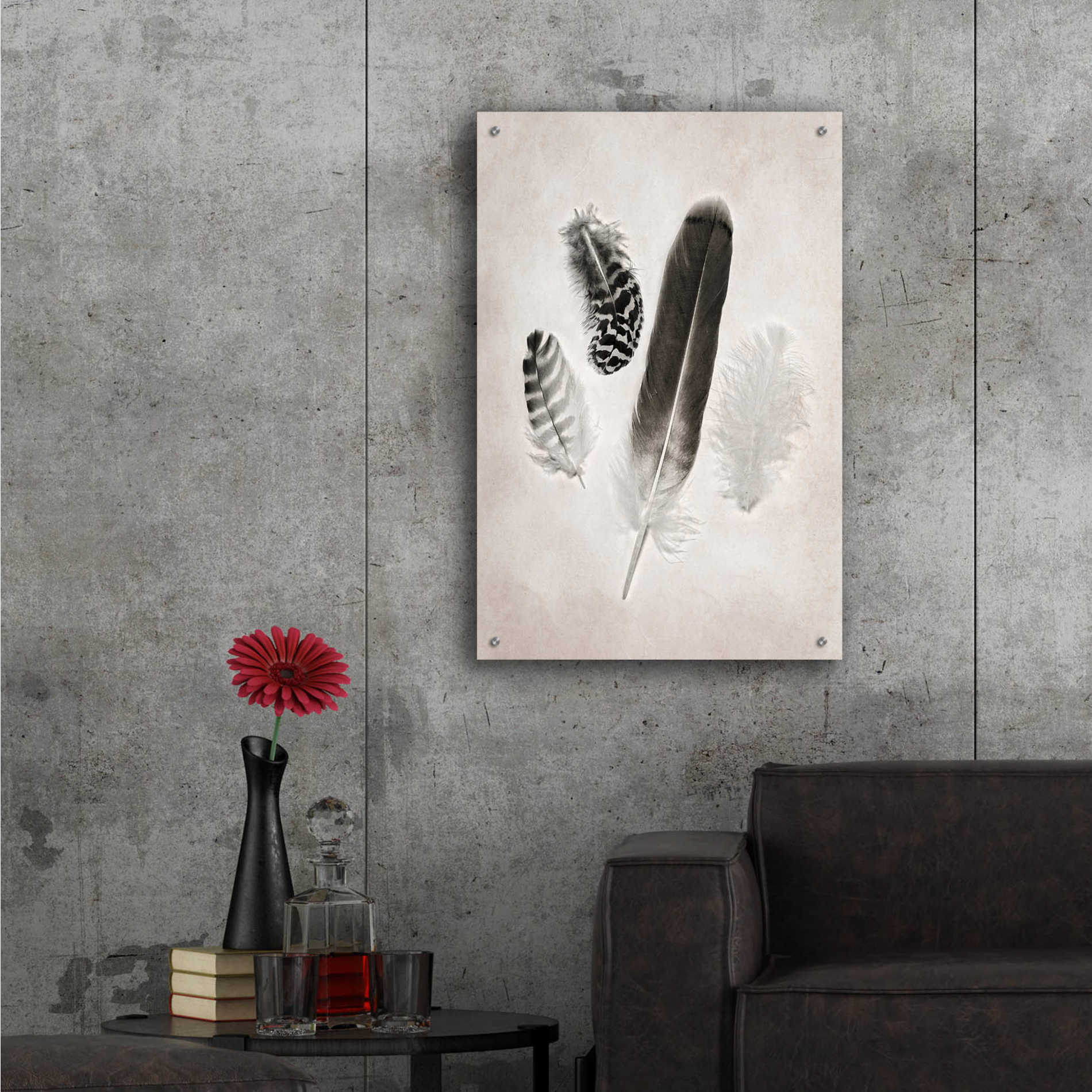 Epic Art 'Feather Group I B&W' by Debra Van Swearingen, Acrylic Glass Wall Art,24x36