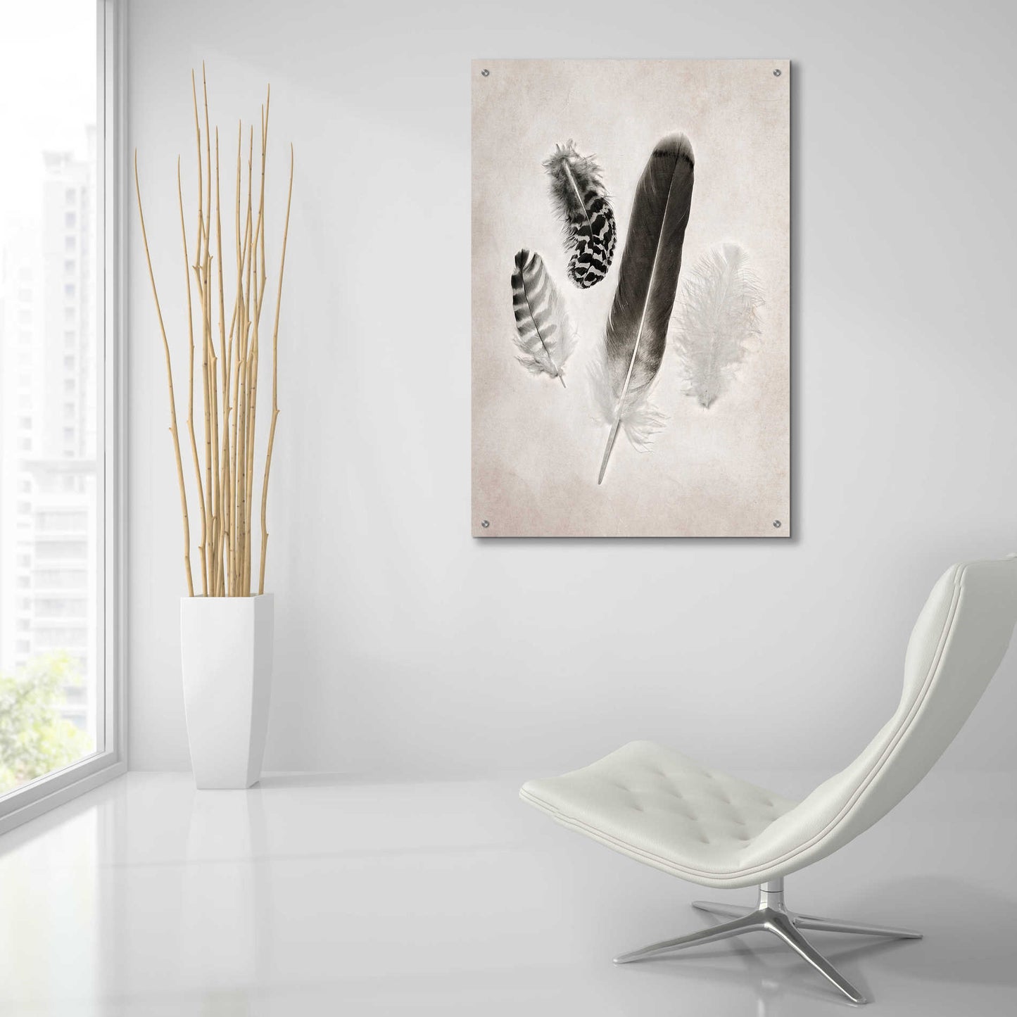 Epic Art 'Feather Group I B&W' by Debra Van Swearingen, Acrylic Glass Wall Art,24x36