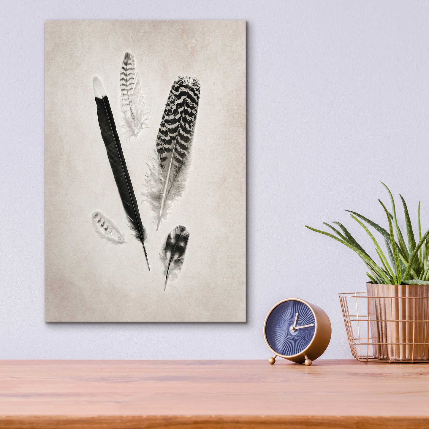 Epic Art 'Feather Group II B&W' by Debra Van Swearingen, Acrylic Glass Wall Art,12x16