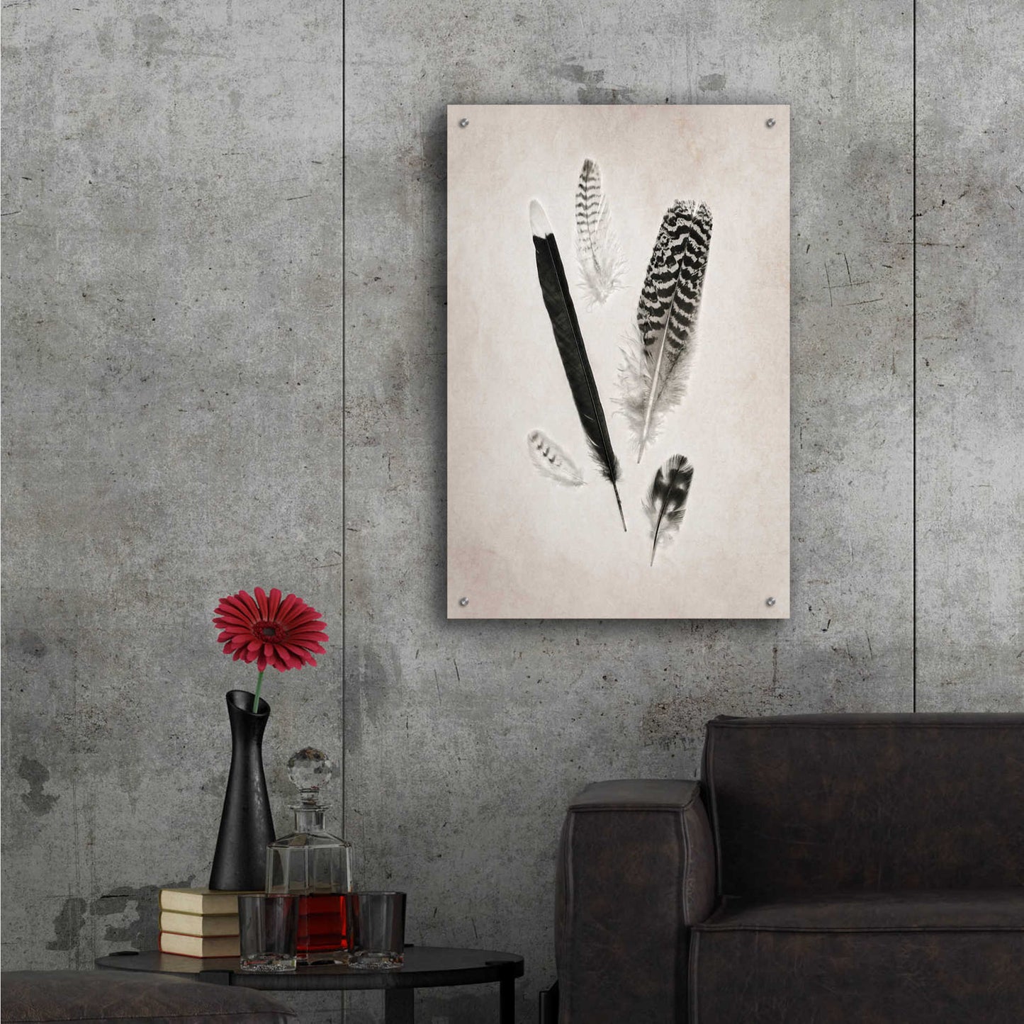 Epic Art 'Feather Group II B&W' by Debra Van Swearingen, Acrylic Glass Wall Art,24x36