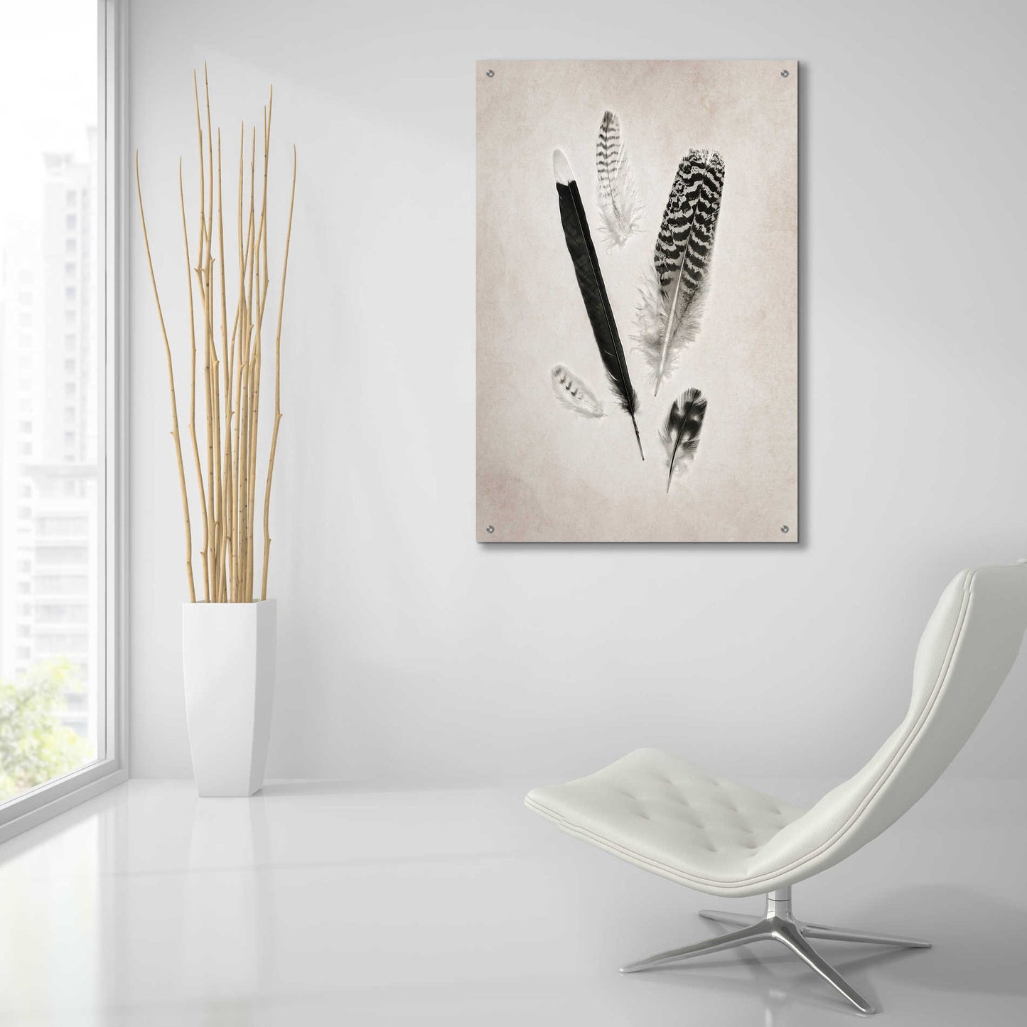 Epic Art 'Feather Group II B&W' by Debra Van Swearingen, Acrylic Glass Wall Art,24x36