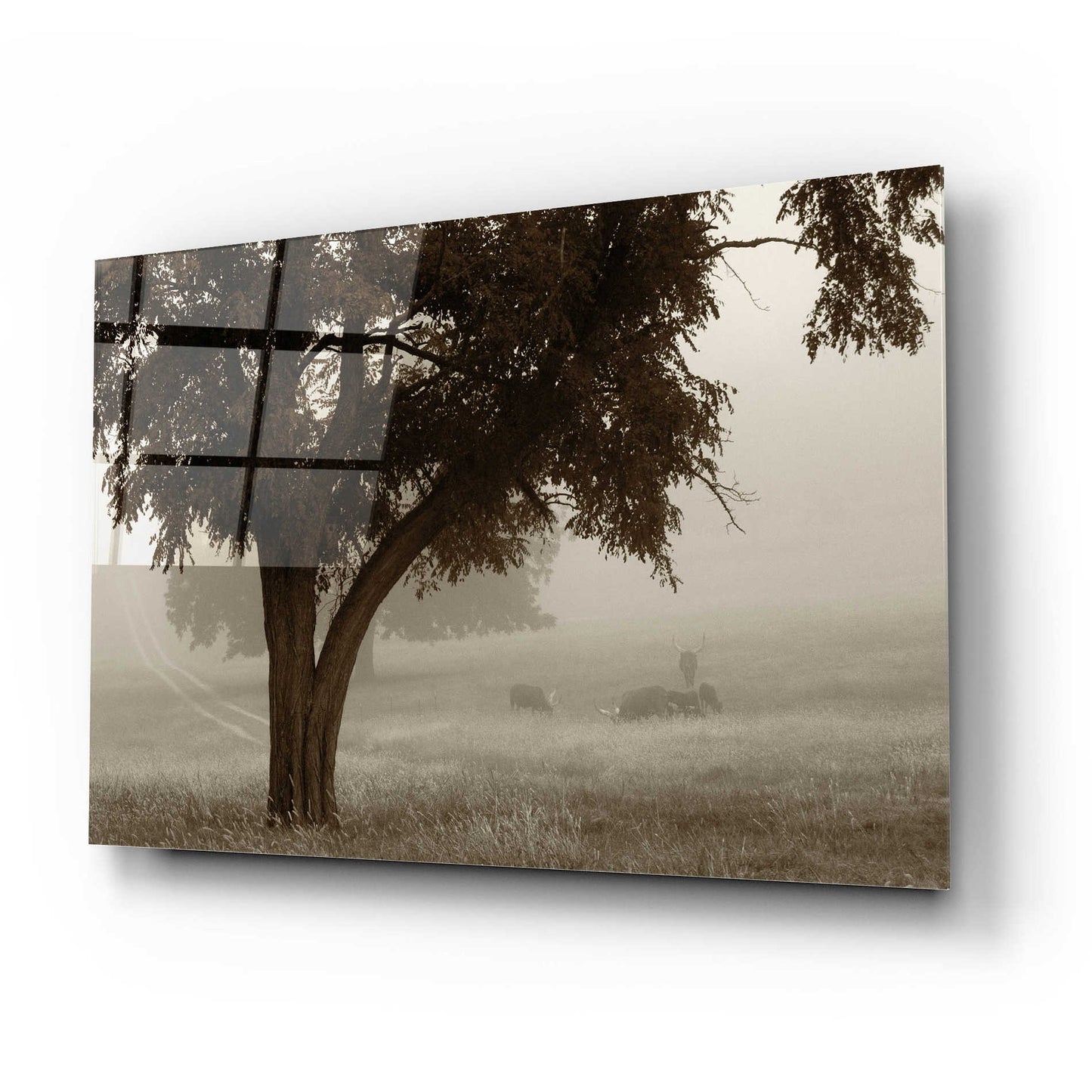 Epic Art 'Calm Mist' by Debra Van Swearingen, Acrylic Glass Wall Art,24x16