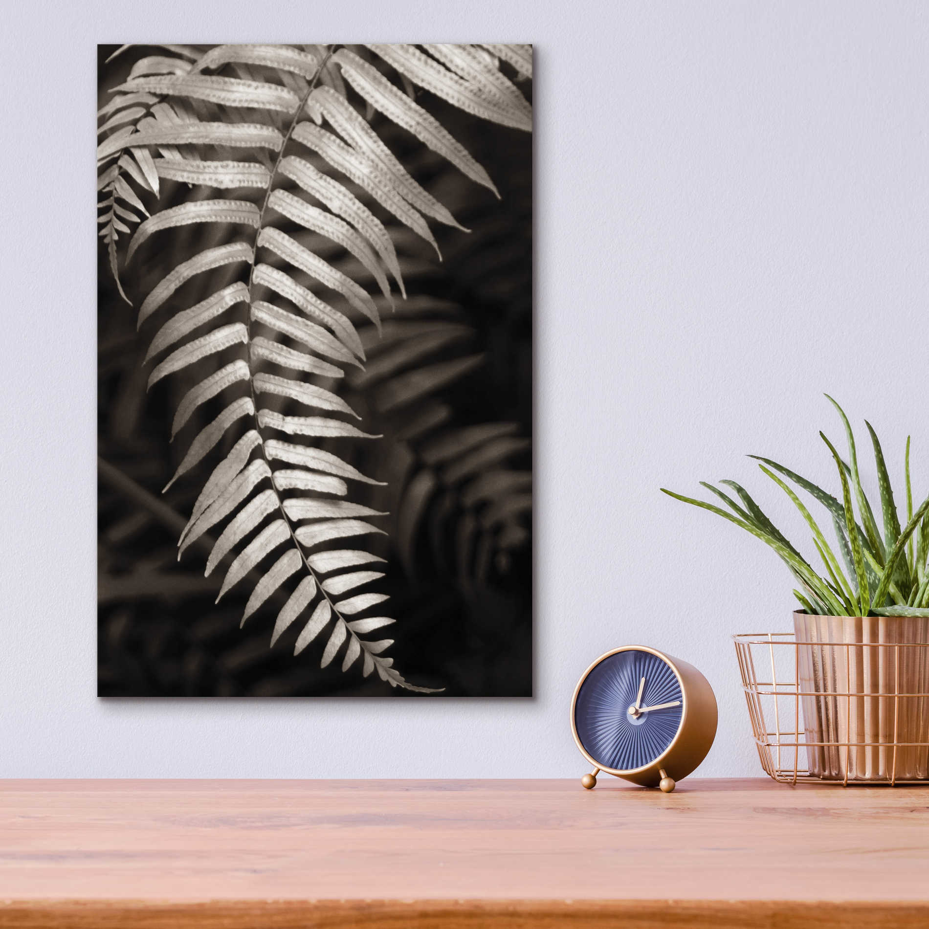 Epic Art 'Fern II' by Debra Van Swearingen, Acrylic Glass Wall Art,12x16