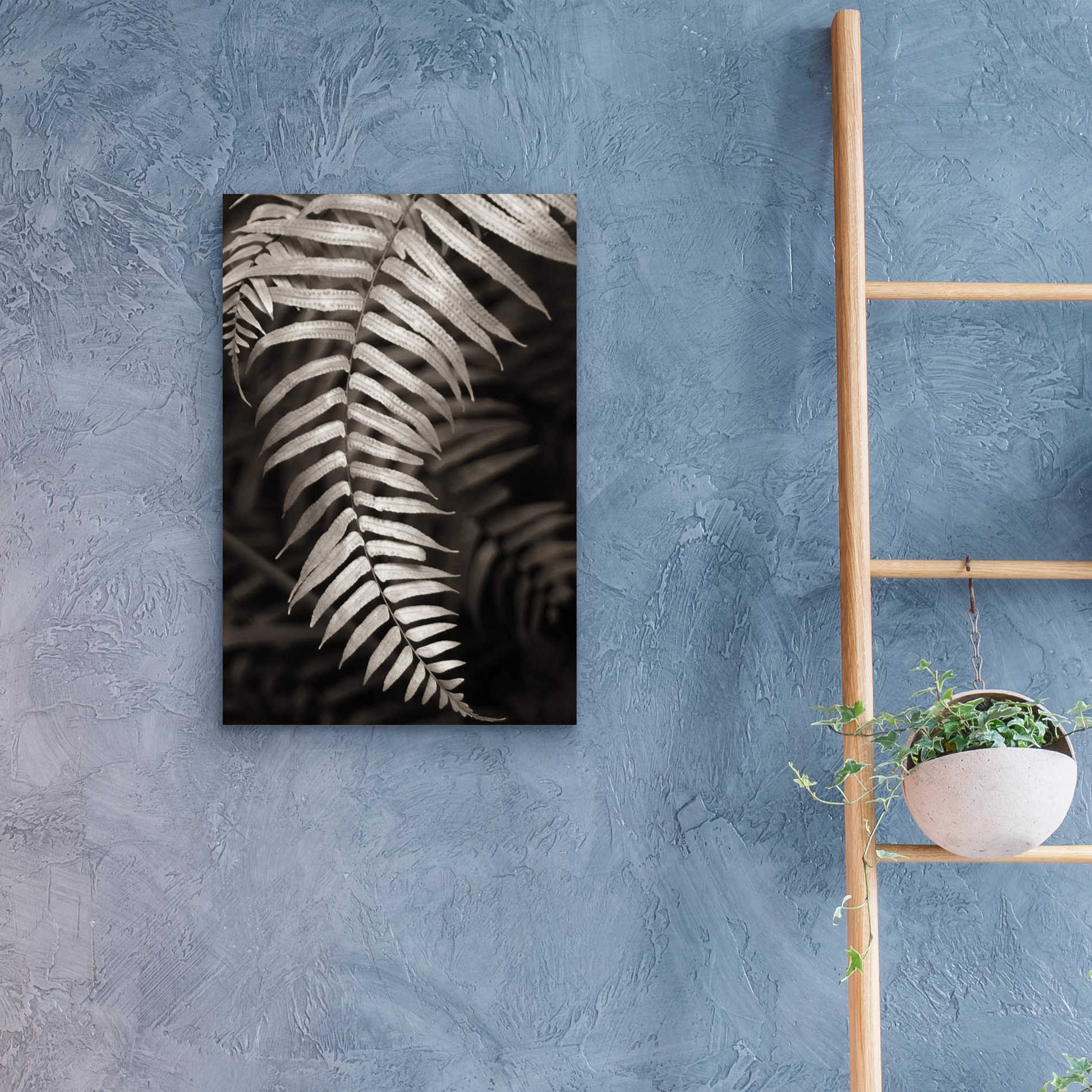 Epic Art 'Fern II' by Debra Van Swearingen, Acrylic Glass Wall Art,16x24