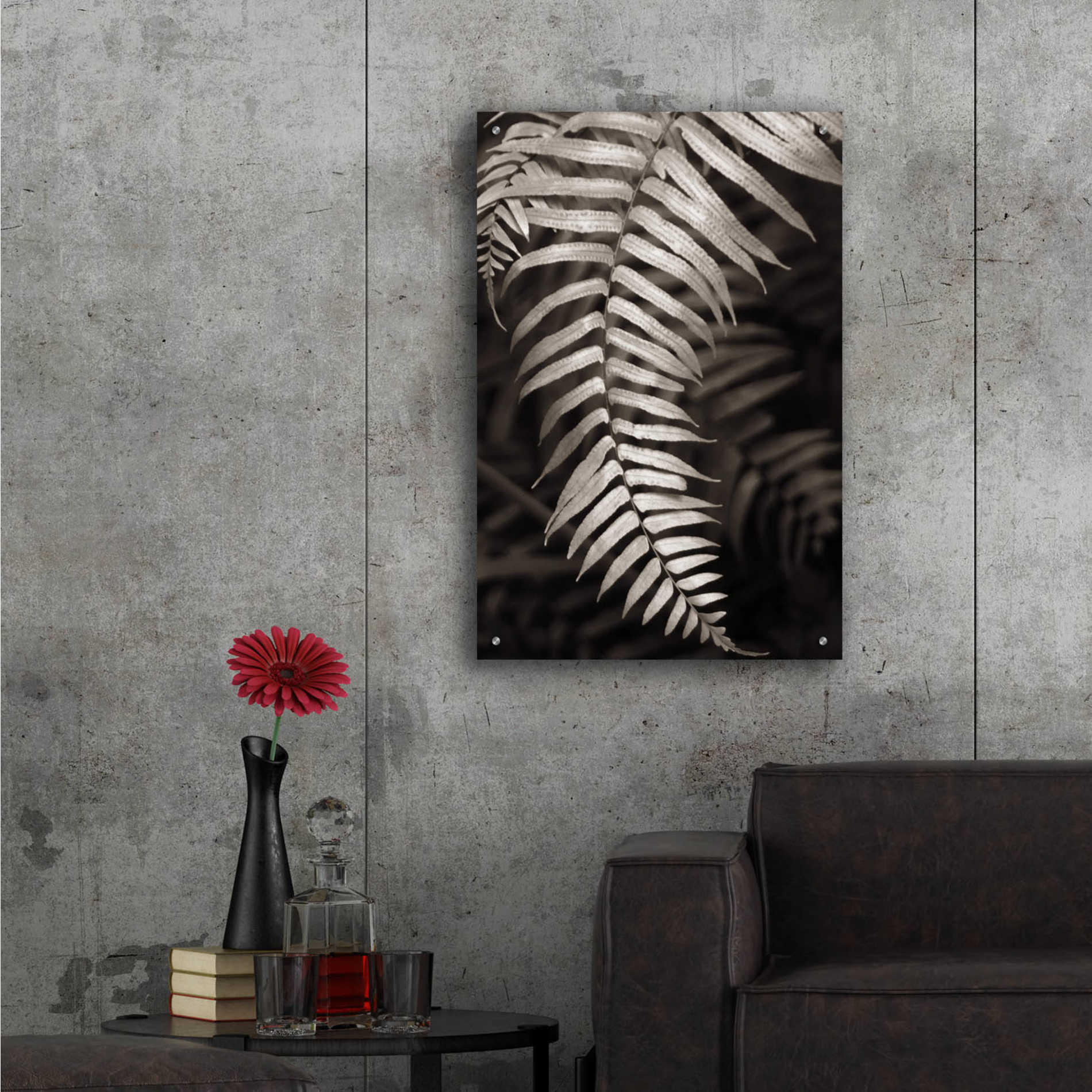 Epic Art 'Fern II' by Debra Van Swearingen, Acrylic Glass Wall Art,24x36