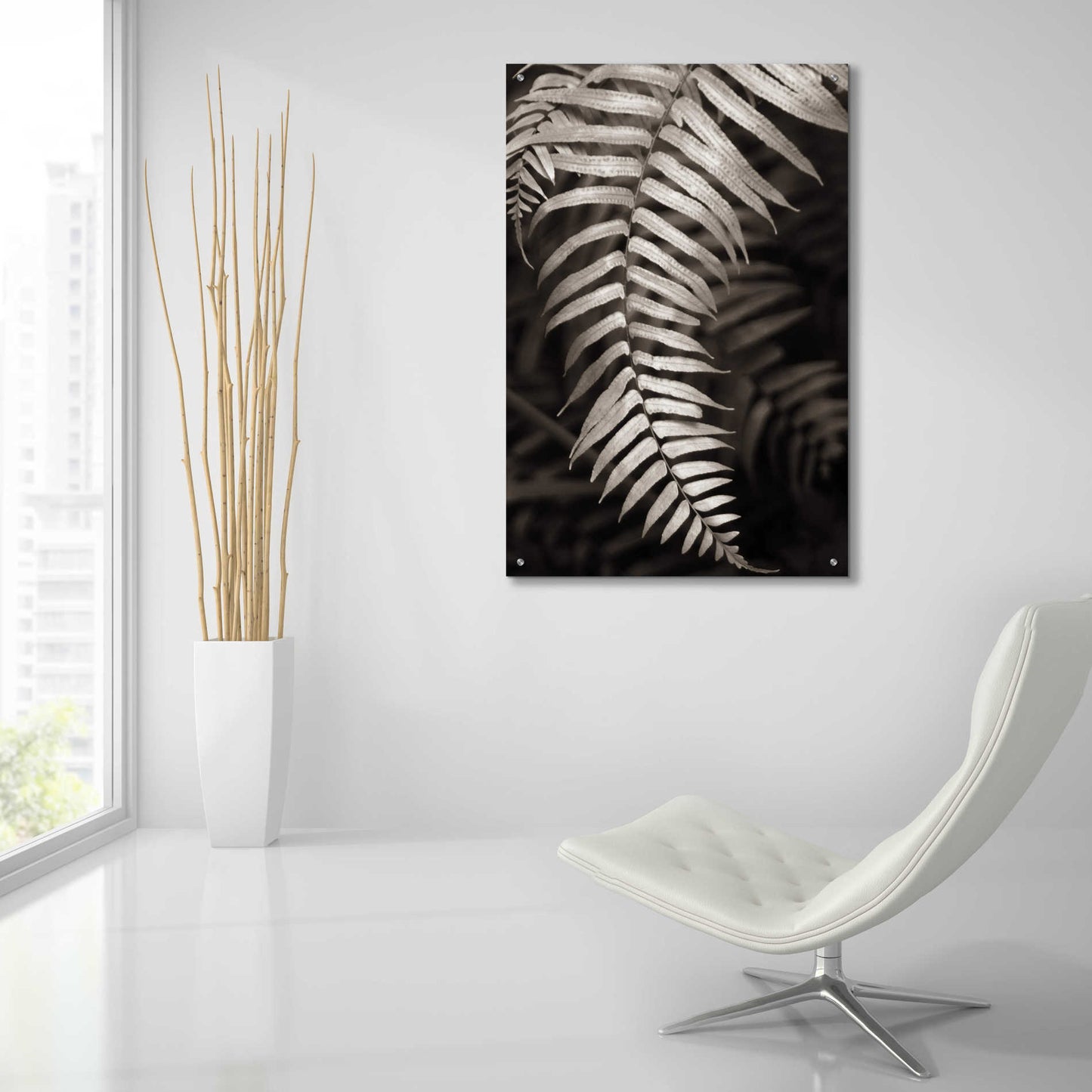 Epic Art 'Fern II' by Debra Van Swearingen, Acrylic Glass Wall Art,24x36