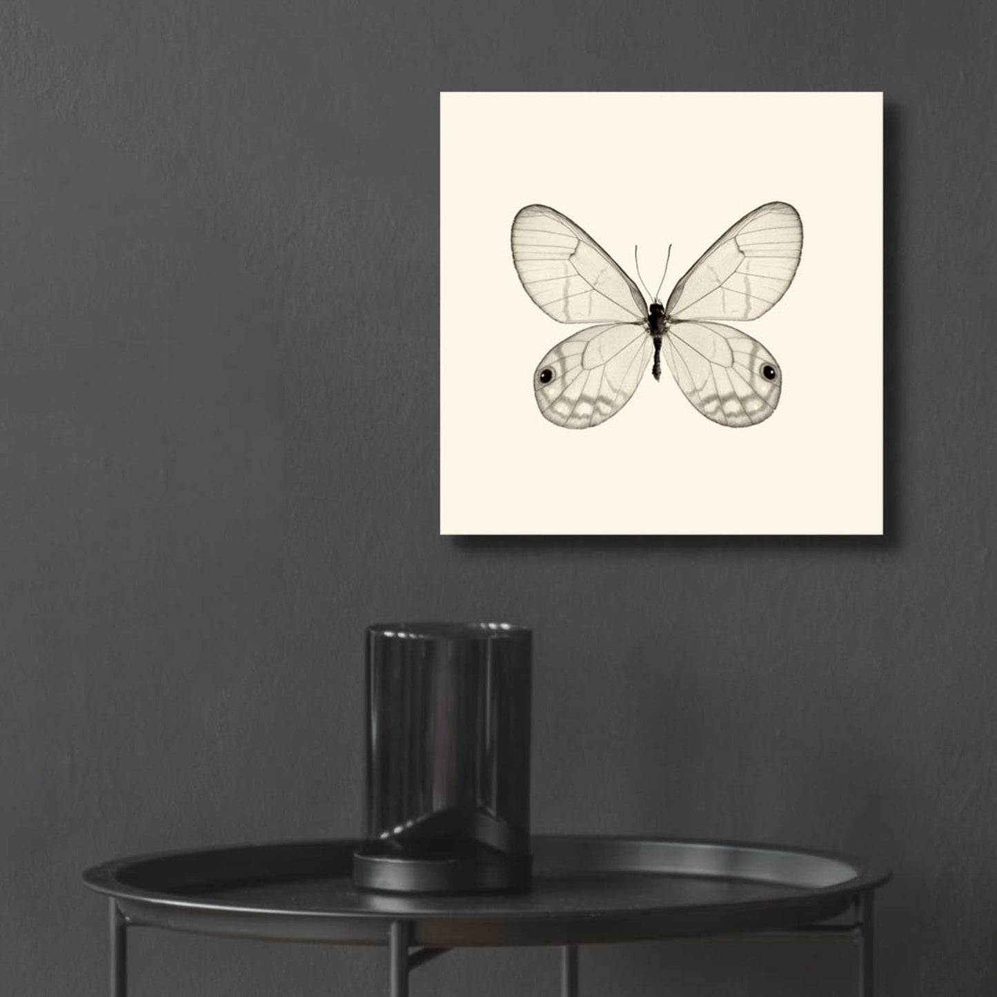 Epic Art 'Butterfly I B&W' by Debra Van Swearingen, Acrylic Glass Wall Art,12x12