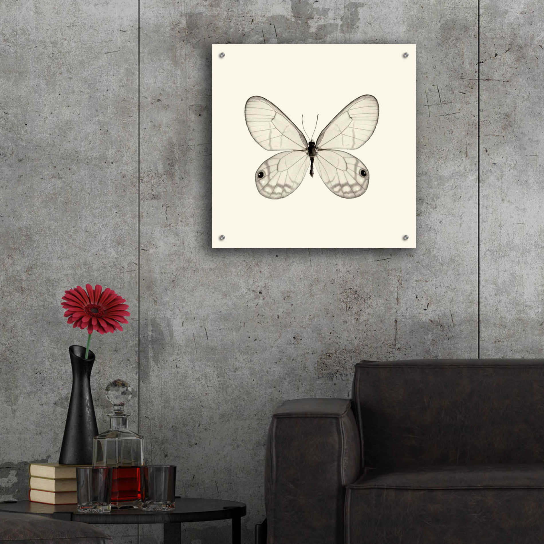 Epic Art 'Butterfly I B&W' by Debra Van Swearingen, Acrylic Glass Wall Art,24x24