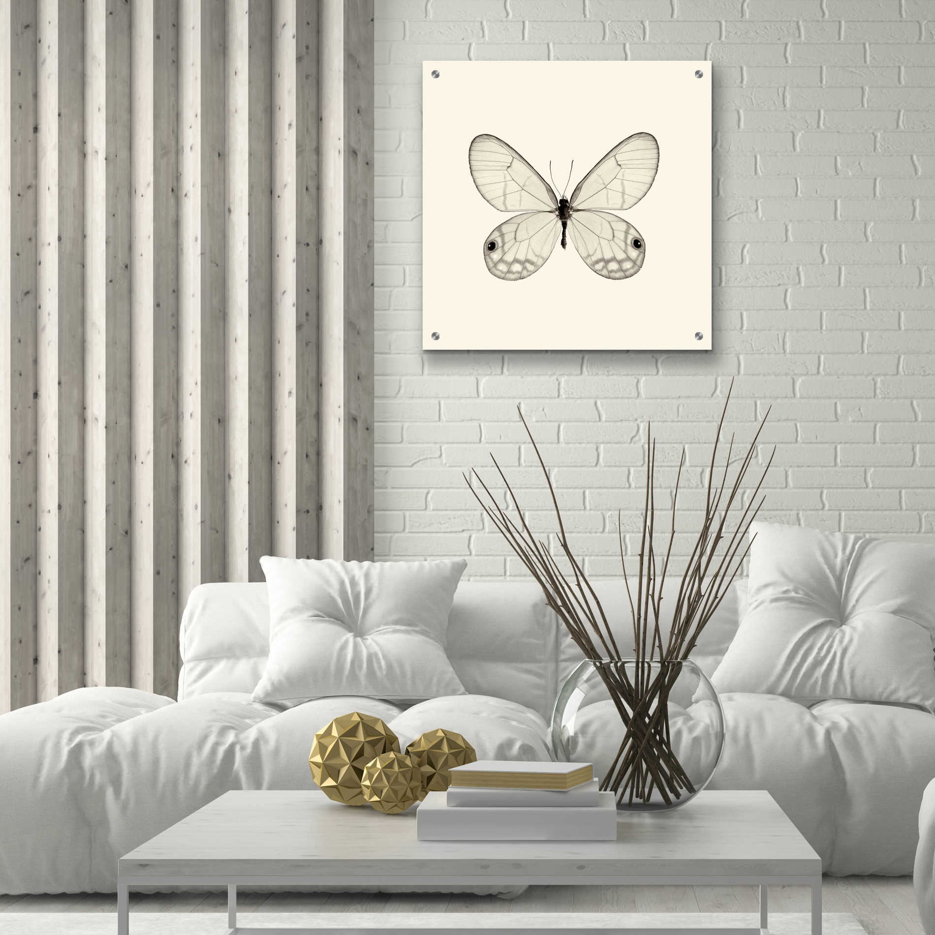 Epic Art 'Butterfly I B&W' by Debra Van Swearingen, Acrylic Glass Wall Art,24x24