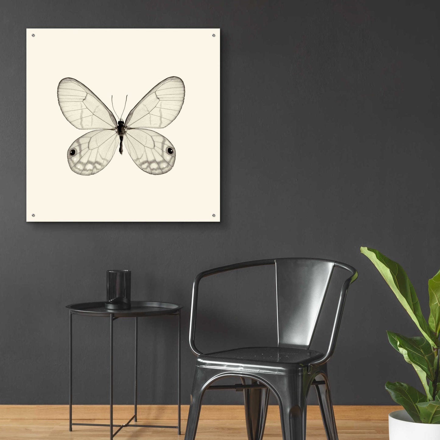 Epic Art 'Butterfly I B&W' by Debra Van Swearingen, Acrylic Glass Wall Art,36x36