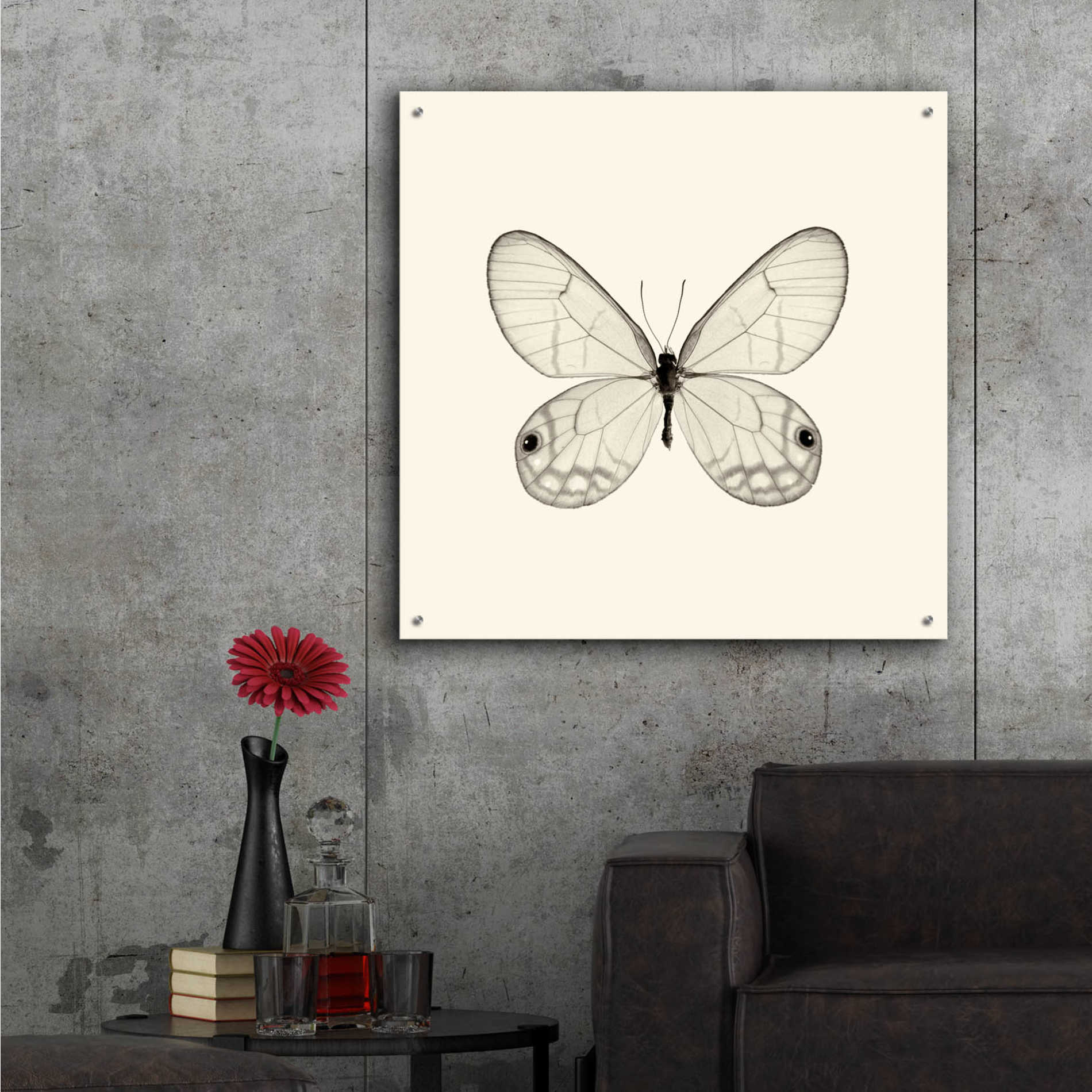 Epic Art 'Butterfly I B&W' by Debra Van Swearingen, Acrylic Glass Wall Art,36x36