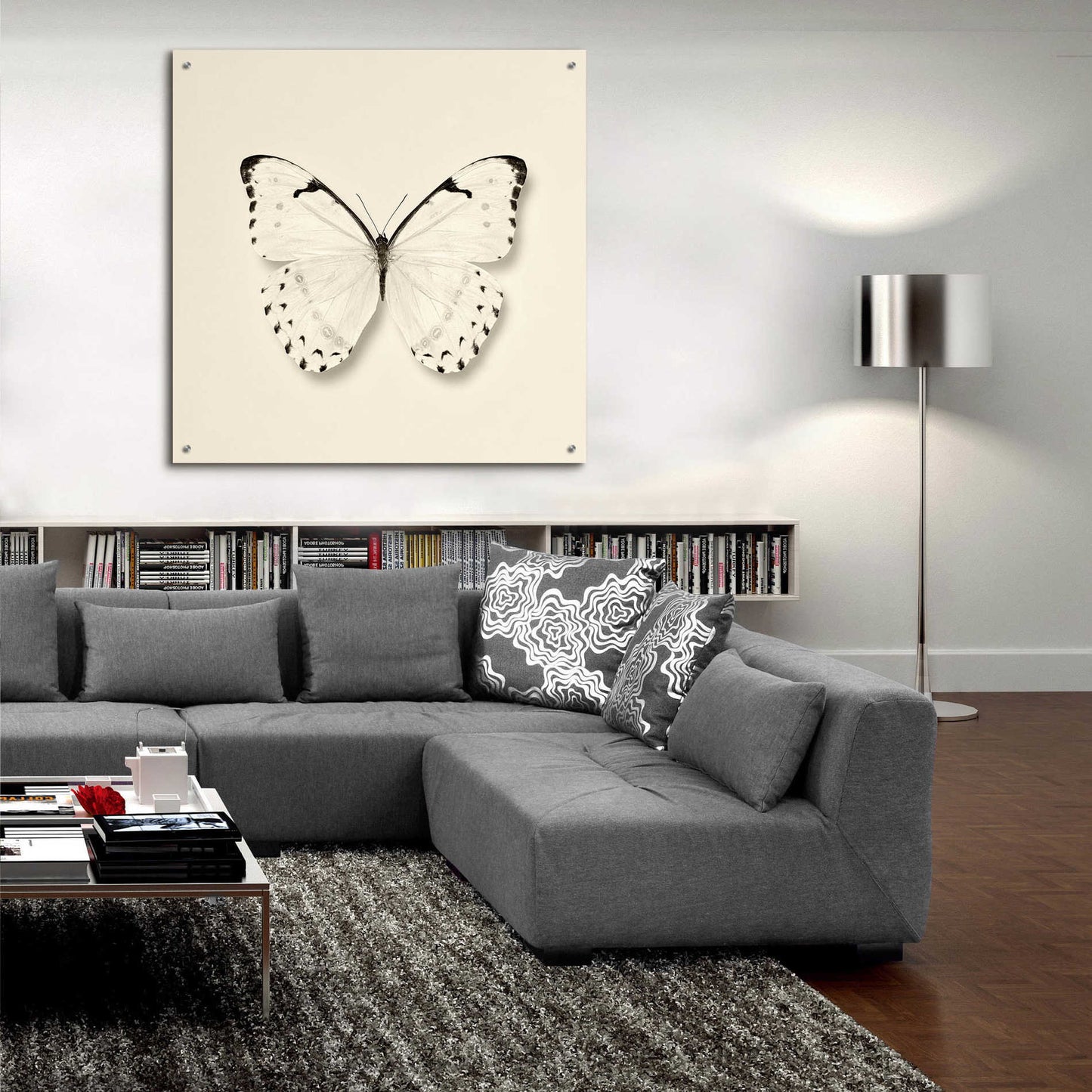 Epic Art 'Butterfly II B&W' by Debra Van Swearingen, Acrylic Glass Wall Art,36x36