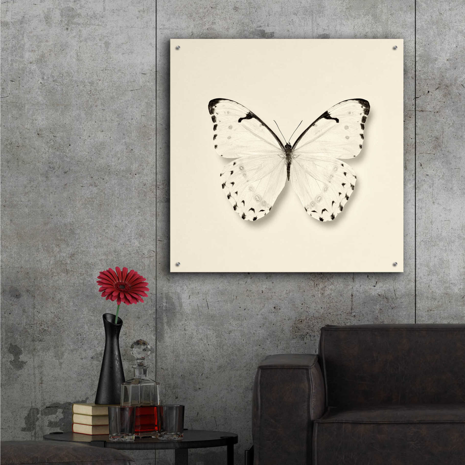 Epic Art 'Butterfly II B&W' by Debra Van Swearingen, Acrylic Glass Wall Art,36x36