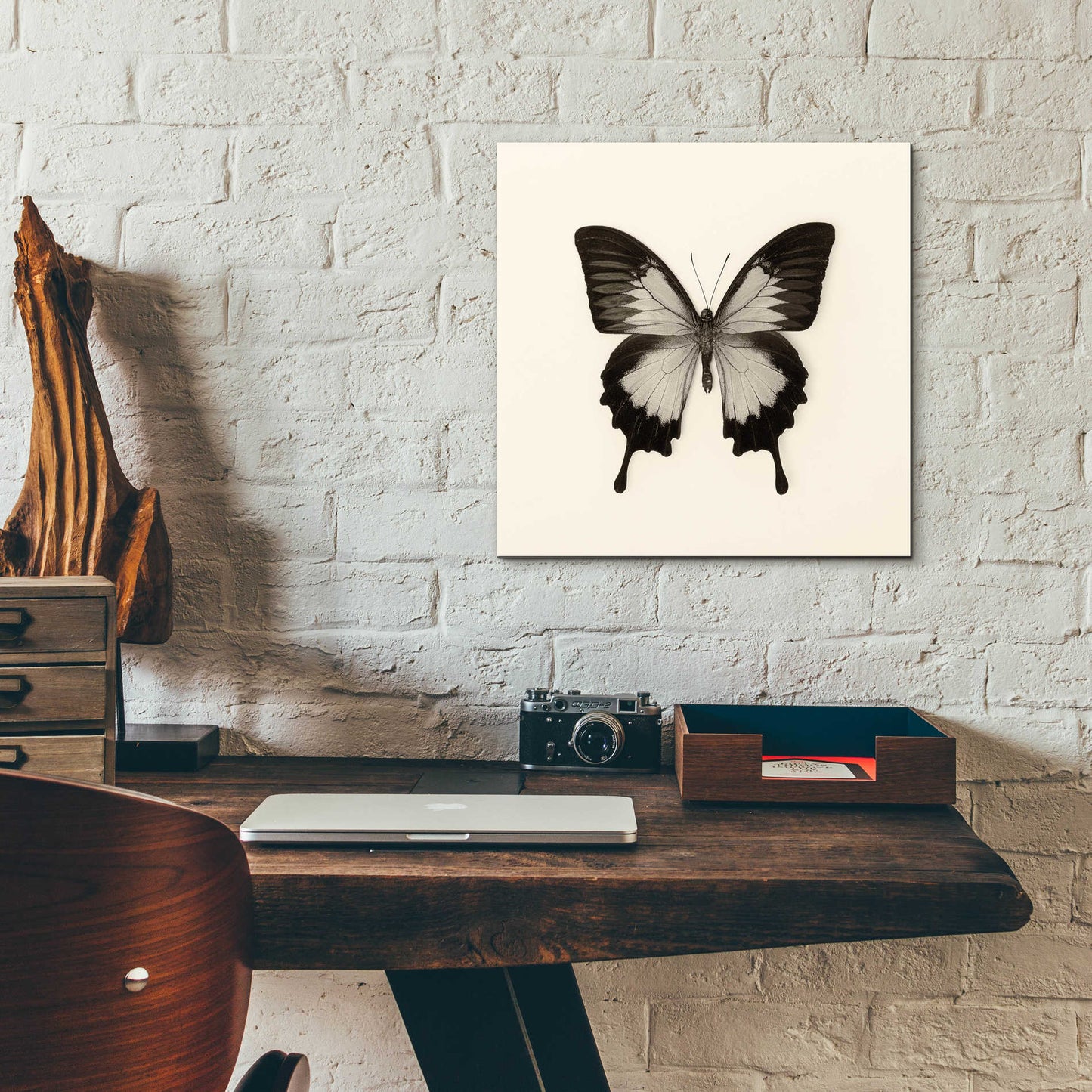 Epic Art 'Butterfly III B&W' by Debra Van Swearingen, Acrylic Glass Wall Art,12x12