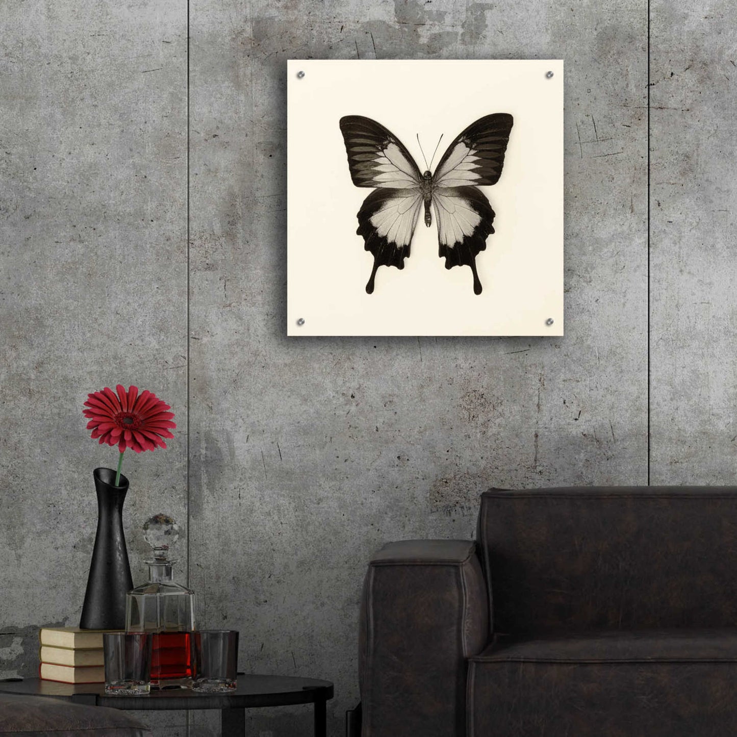 Epic Art 'Butterfly III B&W' by Debra Van Swearingen, Acrylic Glass Wall Art,24x24