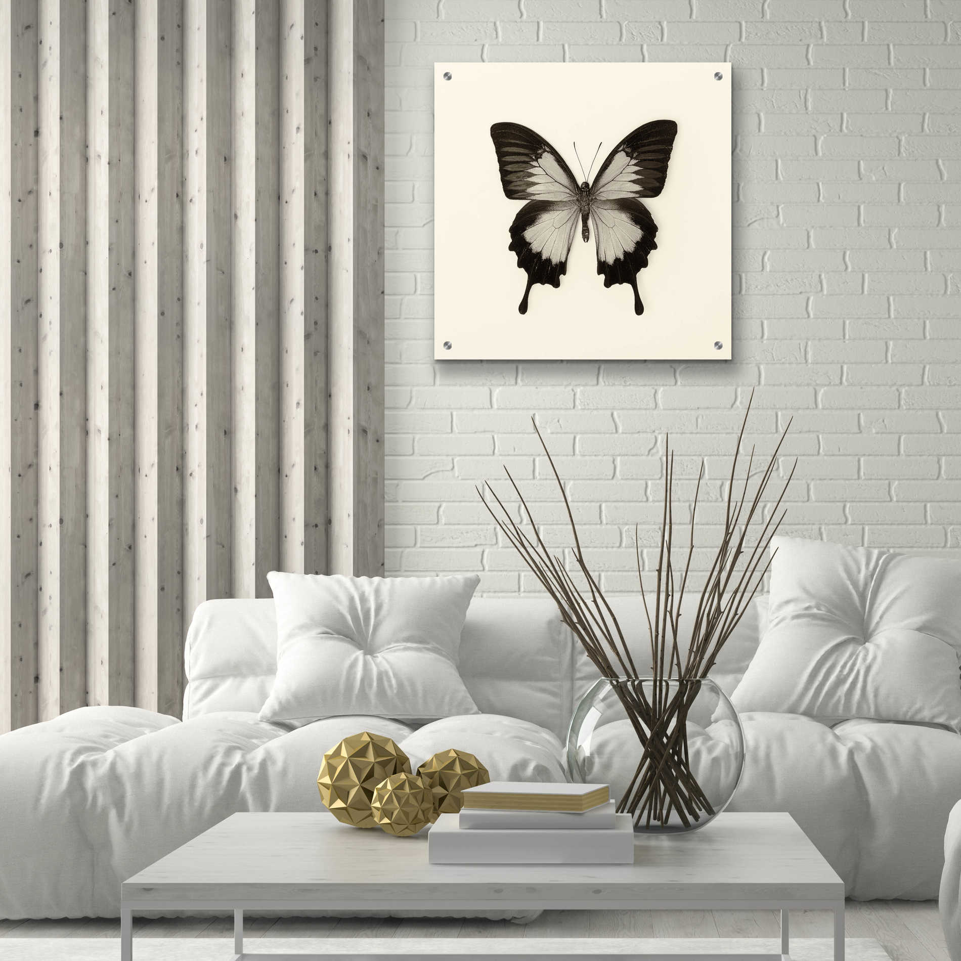 Epic Art 'Butterfly III B&W' by Debra Van Swearingen, Acrylic Glass Wall Art,24x24