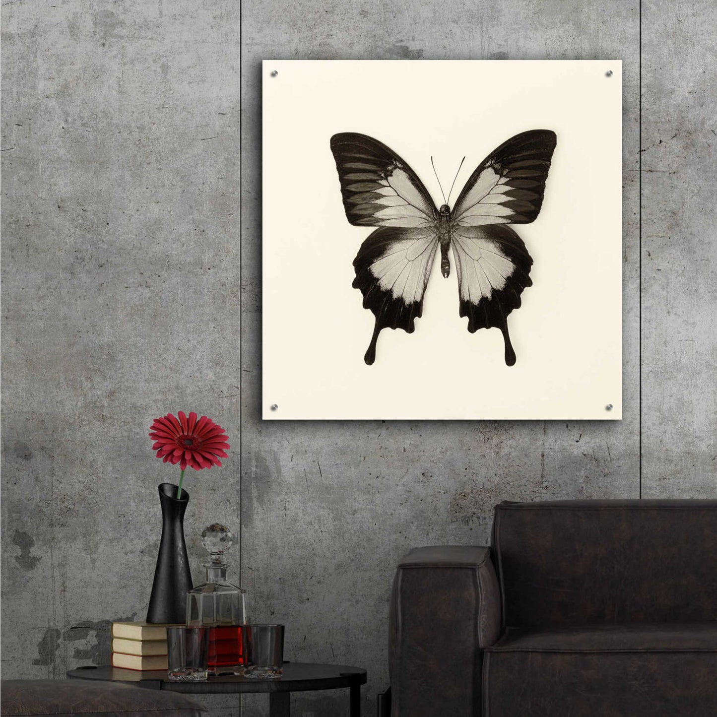 Epic Art 'Butterfly III B&W' by Debra Van Swearingen, Acrylic Glass Wall Art,36x36