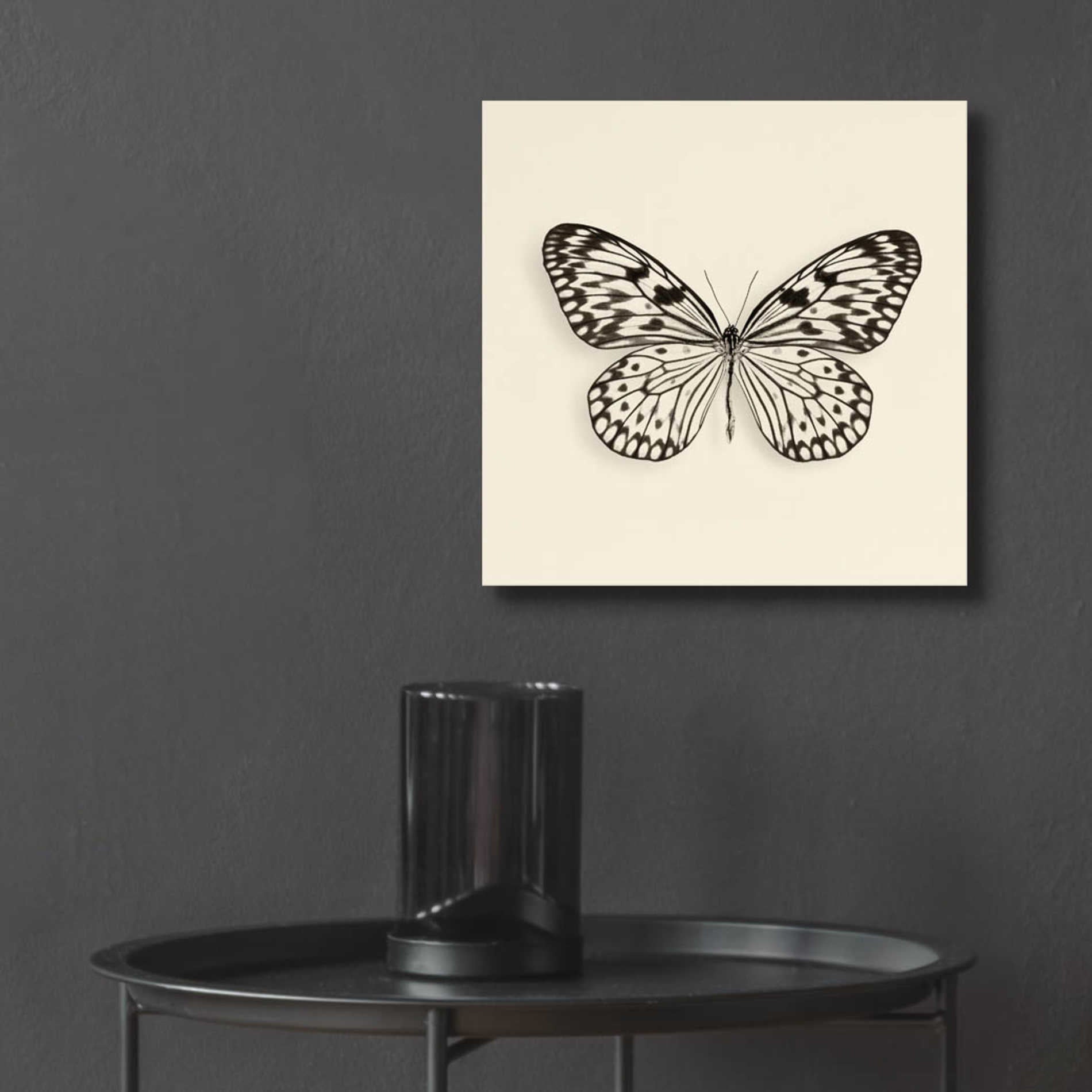 Epic Art 'Butterfly V B&W' by Debra Van Swearingen, Acrylic Glass Wall Art,12x12