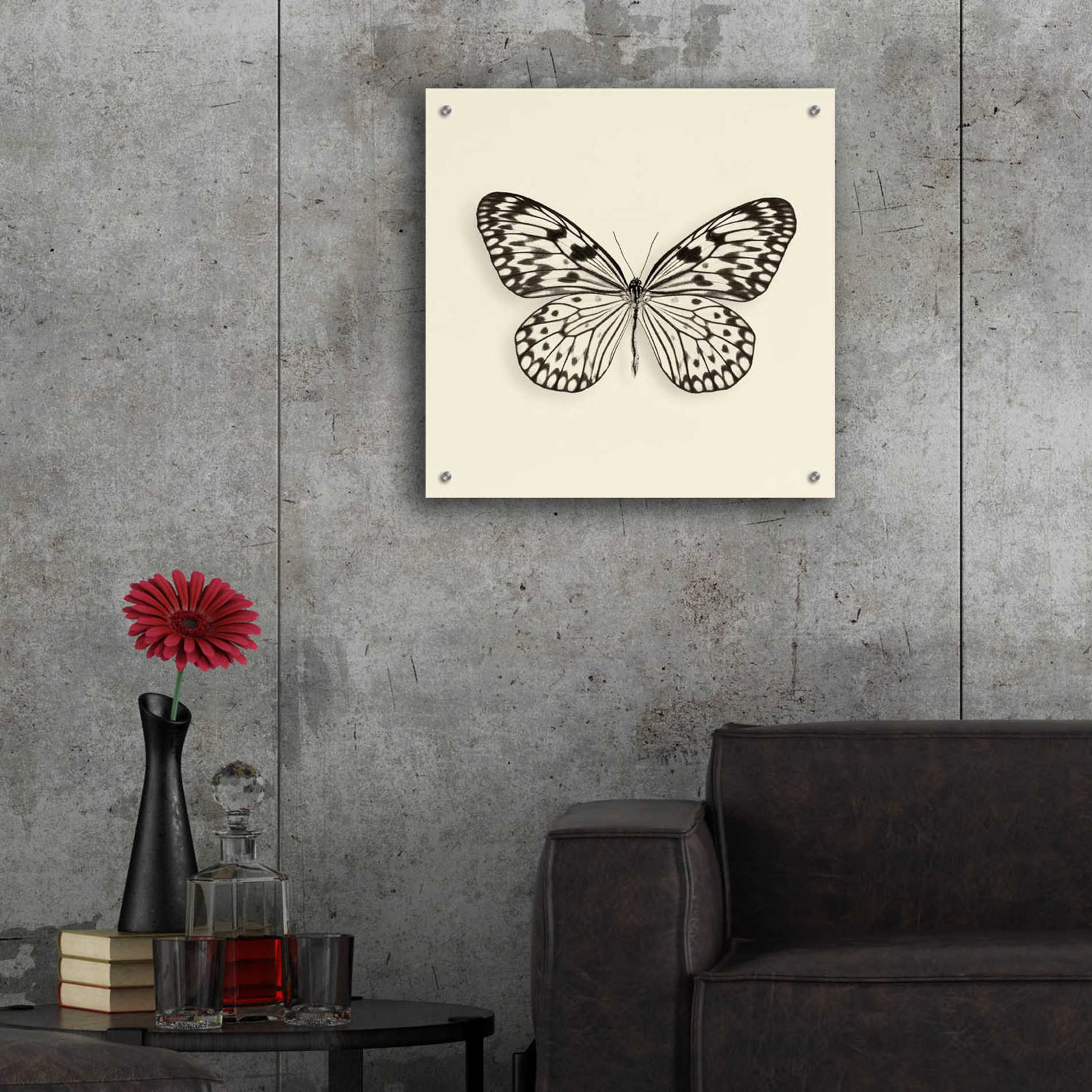 Epic Art 'Butterfly V B&W' by Debra Van Swearingen, Acrylic Glass Wall Art,24x24