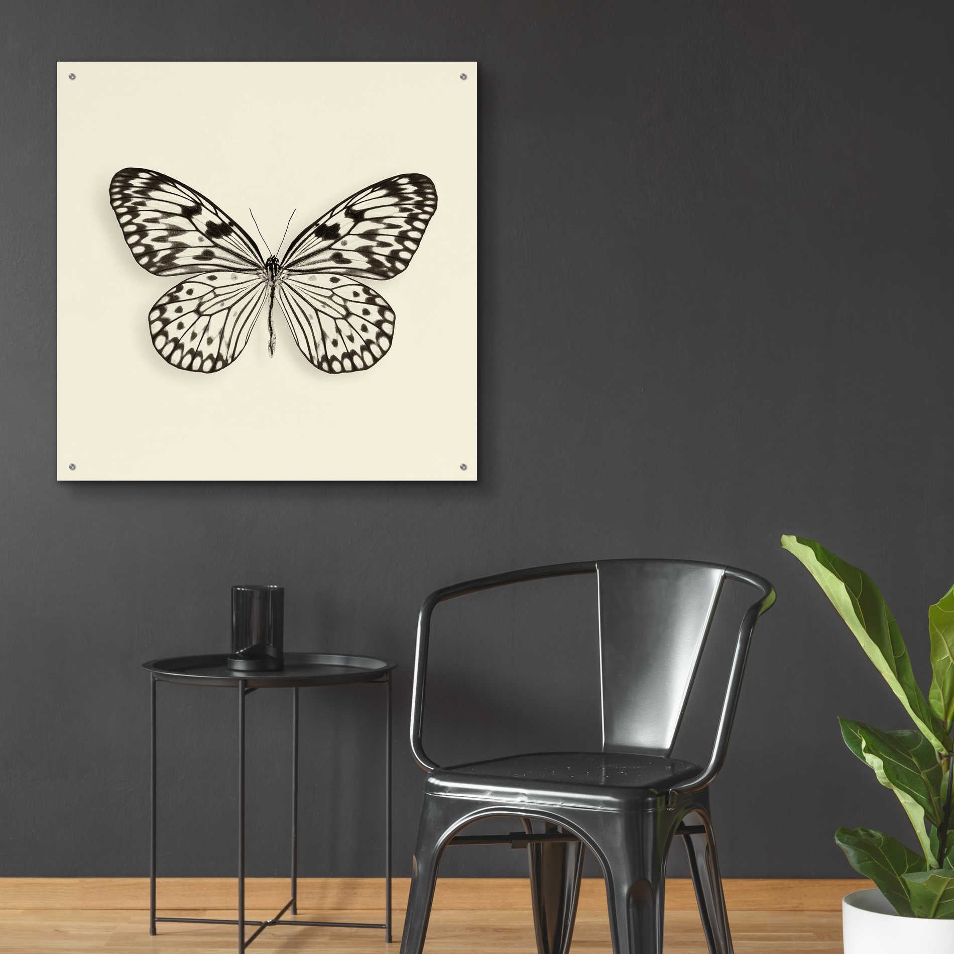 Epic Art 'Butterfly V B&W' by Debra Van Swearingen, Acrylic Glass Wall Art,36x36