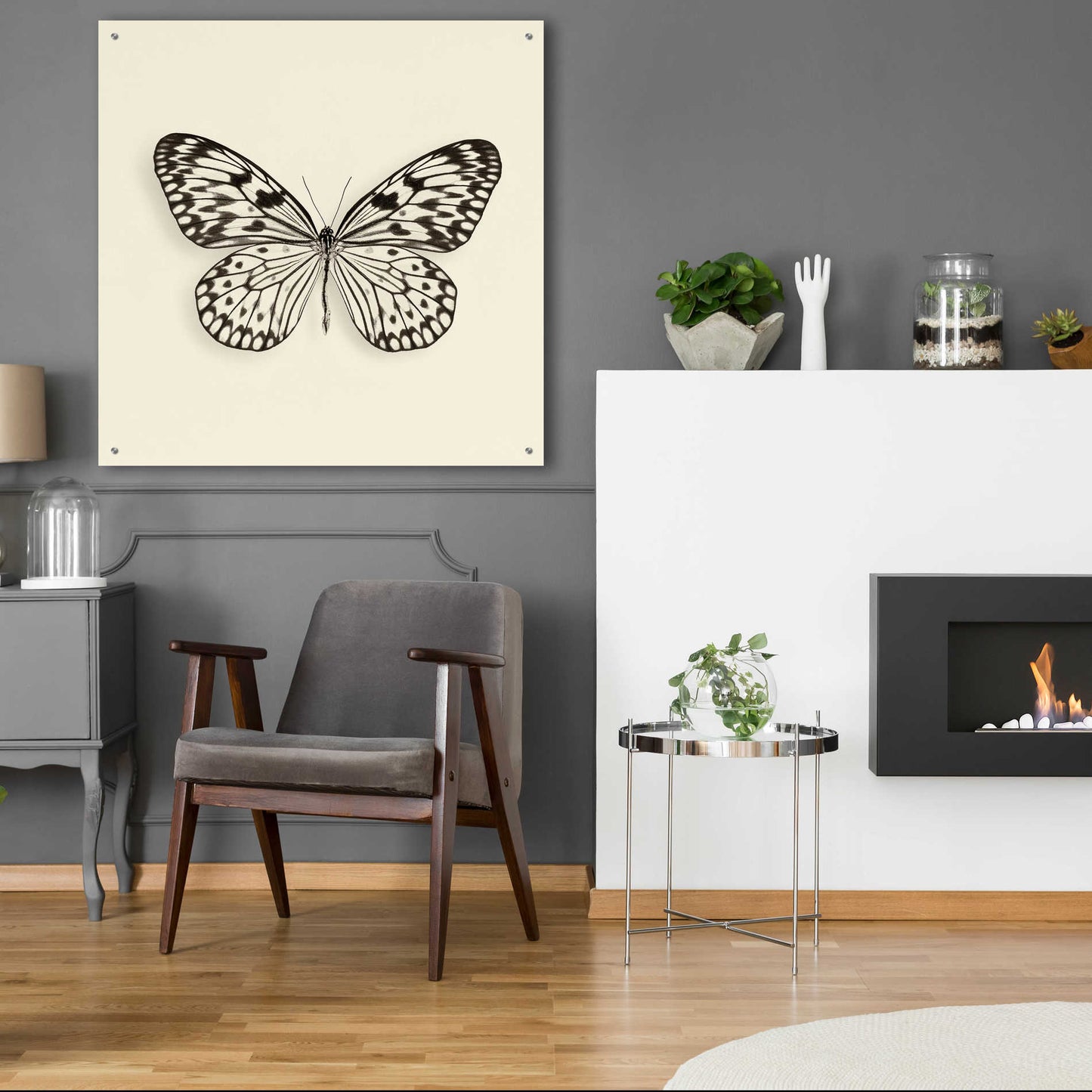 Epic Art 'Butterfly V B&W' by Debra Van Swearingen, Acrylic Glass Wall Art,36x36