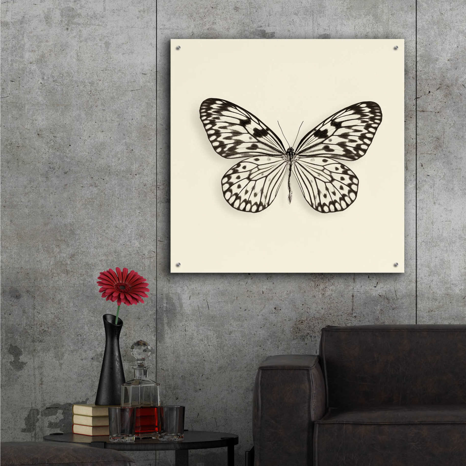 Epic Art 'Butterfly V B&W' by Debra Van Swearingen, Acrylic Glass Wall Art,36x36