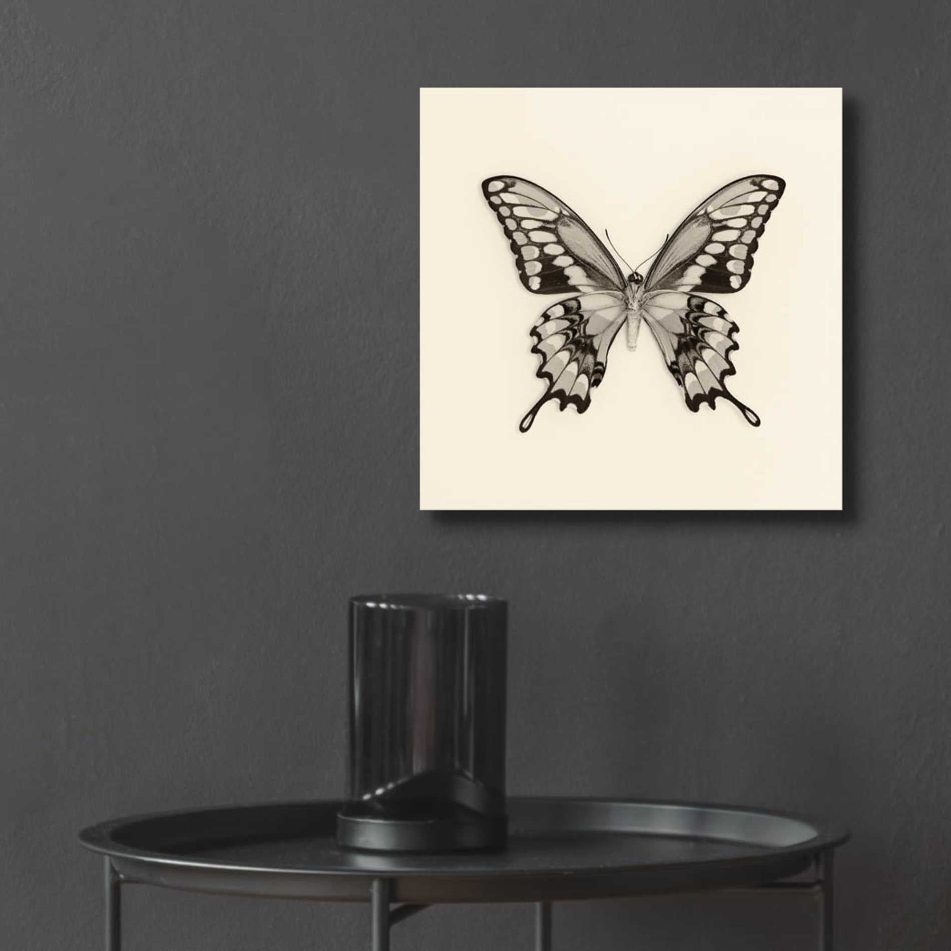 Epic Art 'Butterfly VI B&W' by Debra Van Swearingen, Acrylic Glass Wall Art,12x12