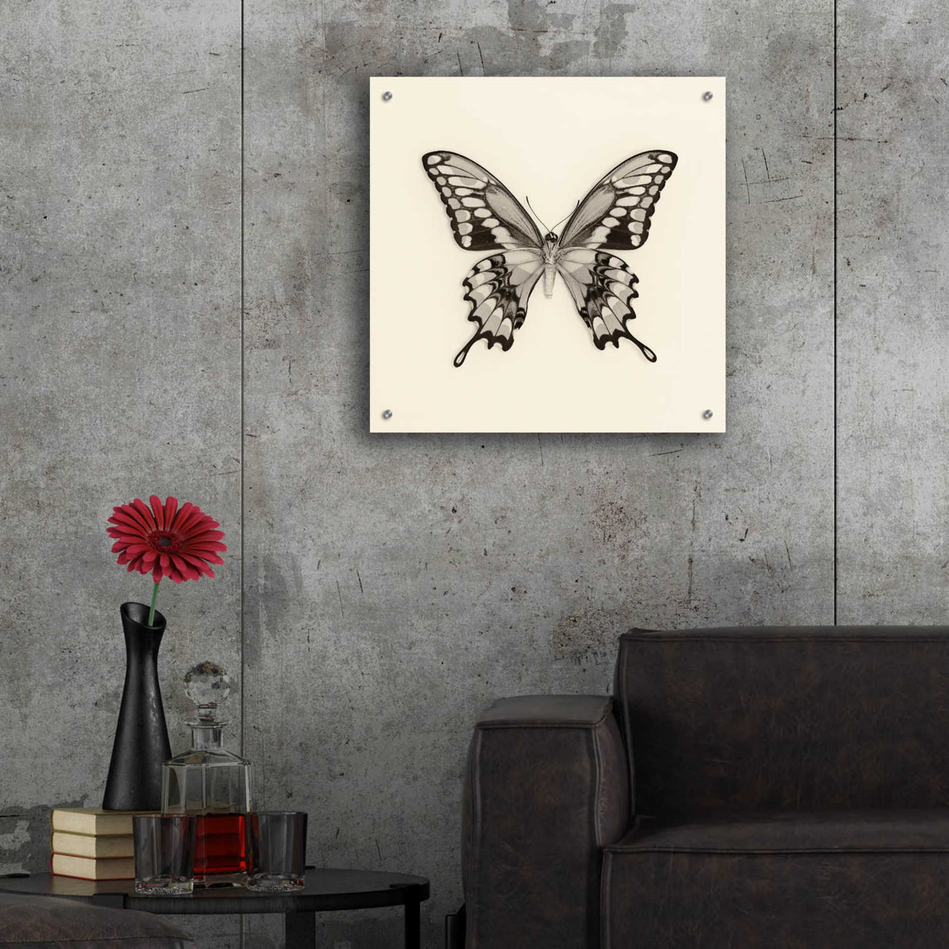 Epic Art 'Butterfly VI B&W' by Debra Van Swearingen, Acrylic Glass Wall Art,24x24