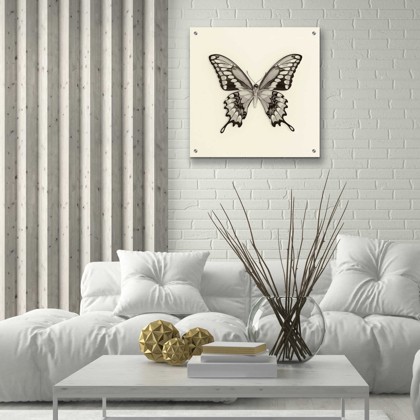 Epic Art 'Butterfly VI B&W' by Debra Van Swearingen, Acrylic Glass Wall Art,24x24