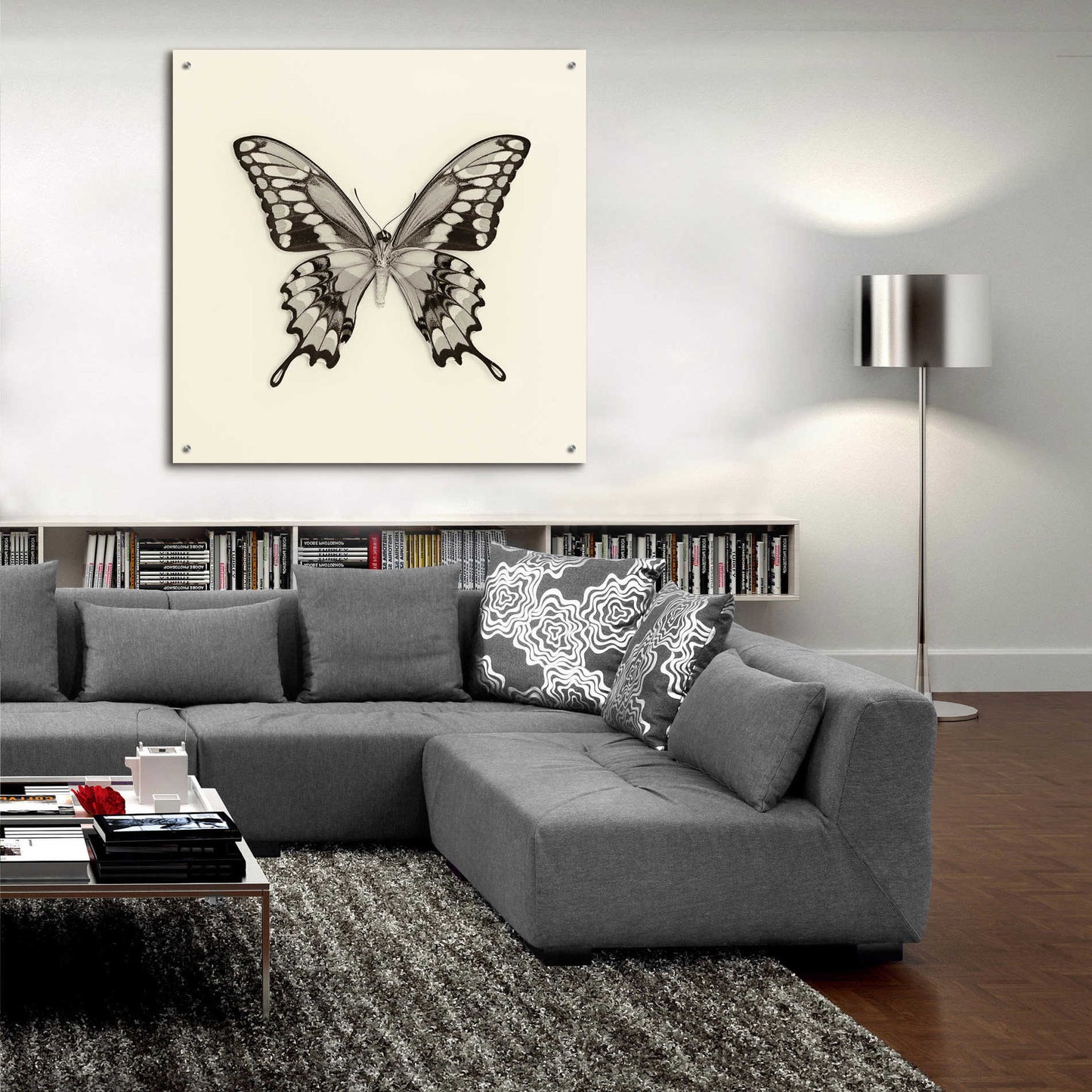 Epic Art 'Butterfly VI B&W' by Debra Van Swearingen, Acrylic Glass Wall Art,36x36