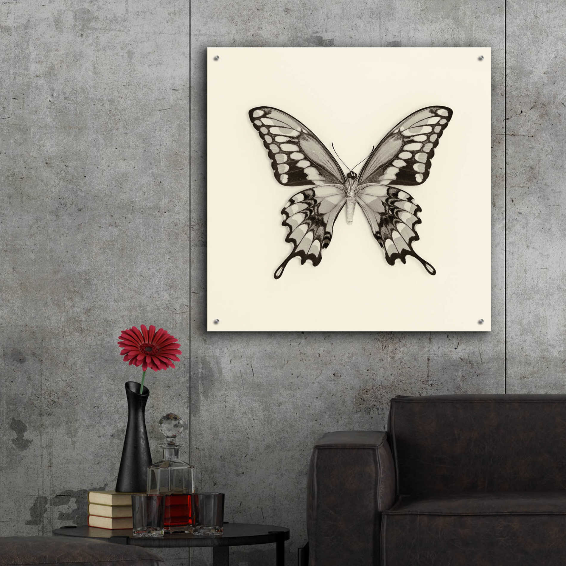 Epic Art 'Butterfly VI B&W' by Debra Van Swearingen, Acrylic Glass Wall Art,36x36