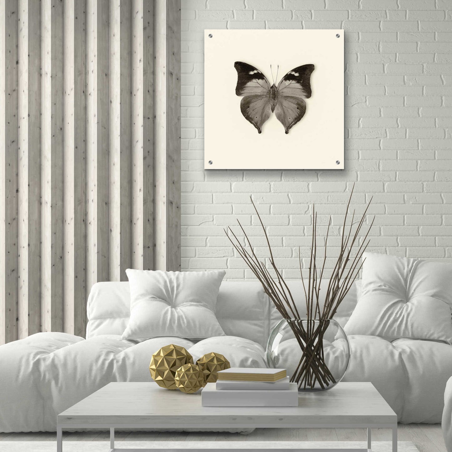 Epic Art 'Butterfly VII B&W' by Debra Van Swearingen, Acrylic Glass Wall Art,24x24