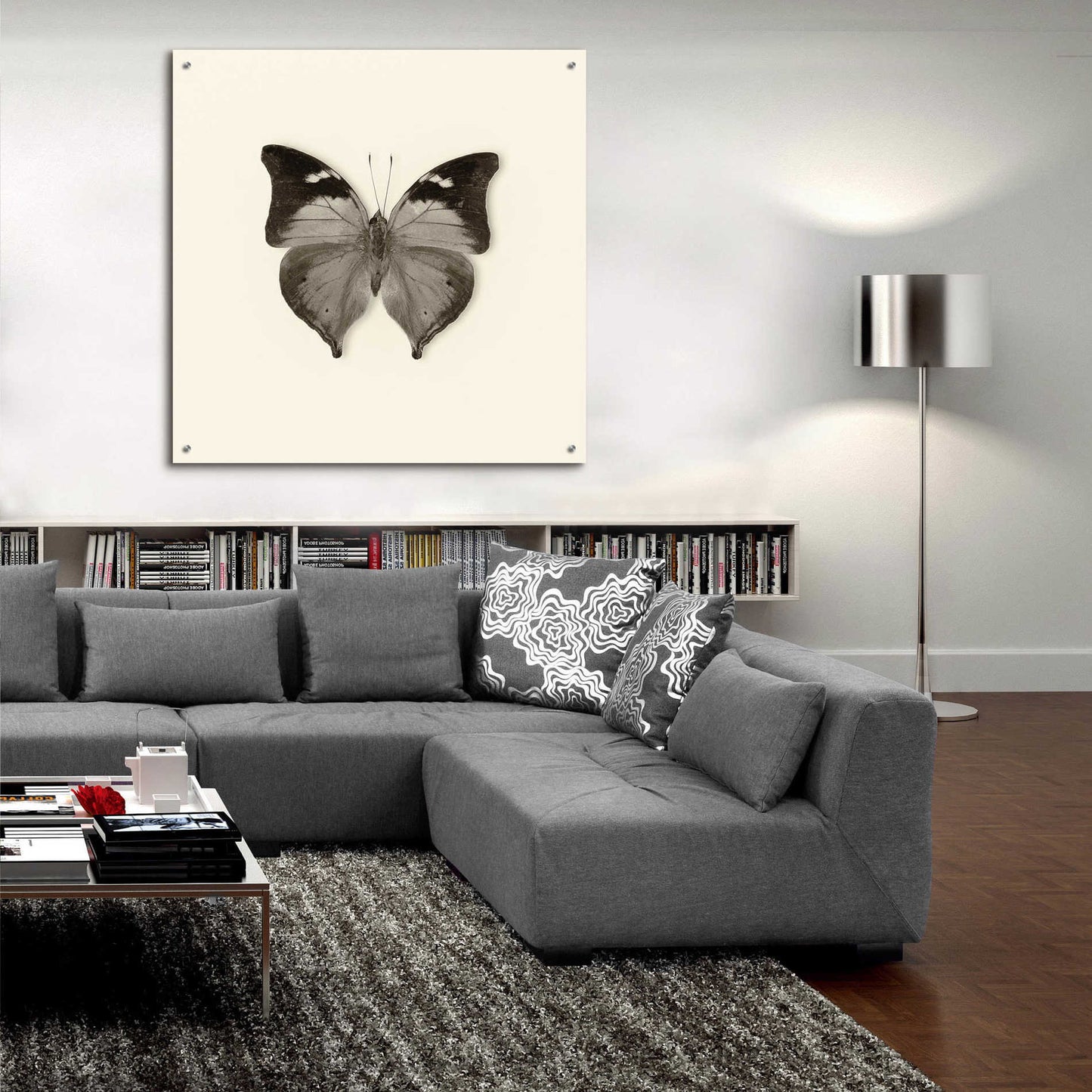 Epic Art 'Butterfly VII B&W' by Debra Van Swearingen, Acrylic Glass Wall Art,36x36