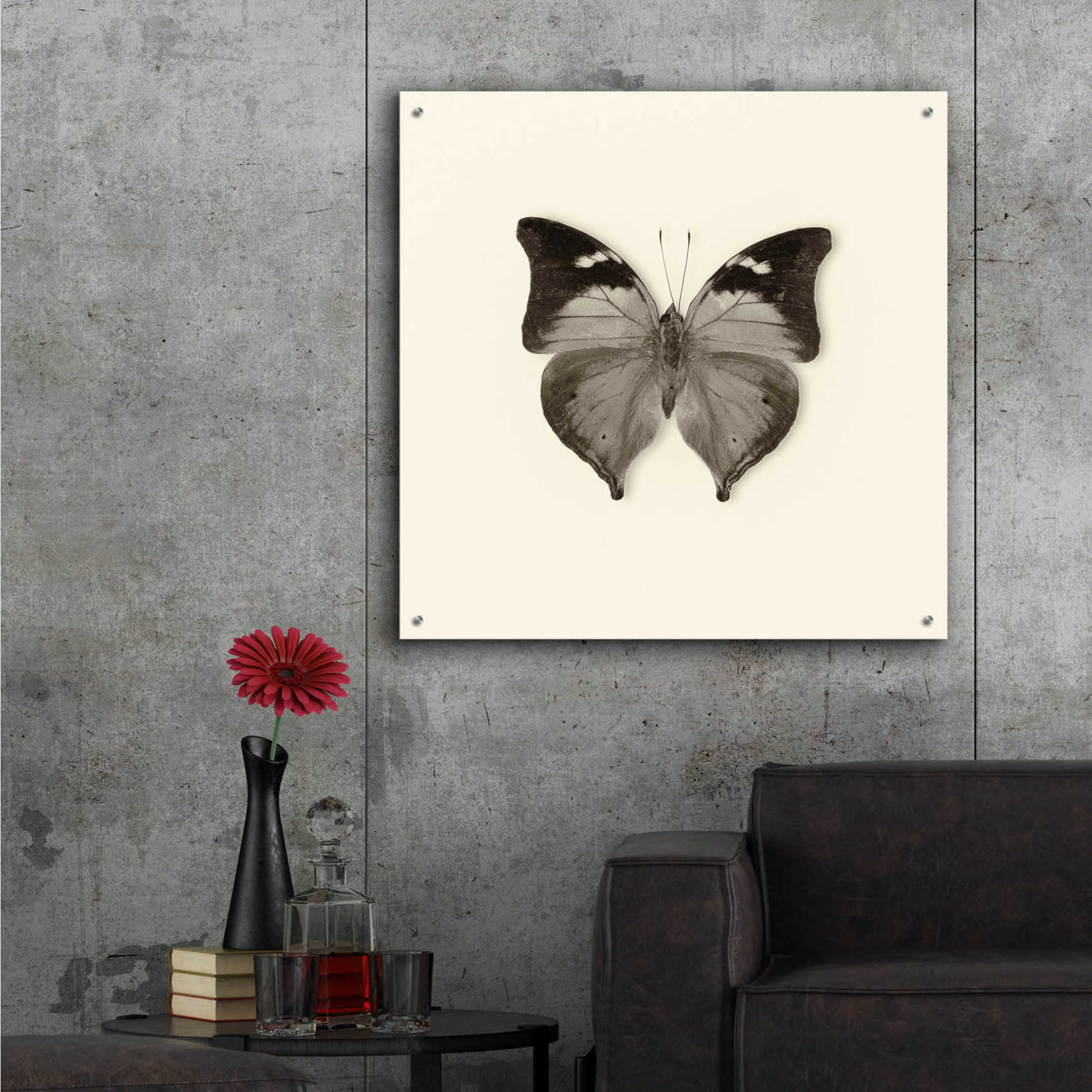 Epic Art 'Butterfly VII B&W' by Debra Van Swearingen, Acrylic Glass Wall Art,36x36