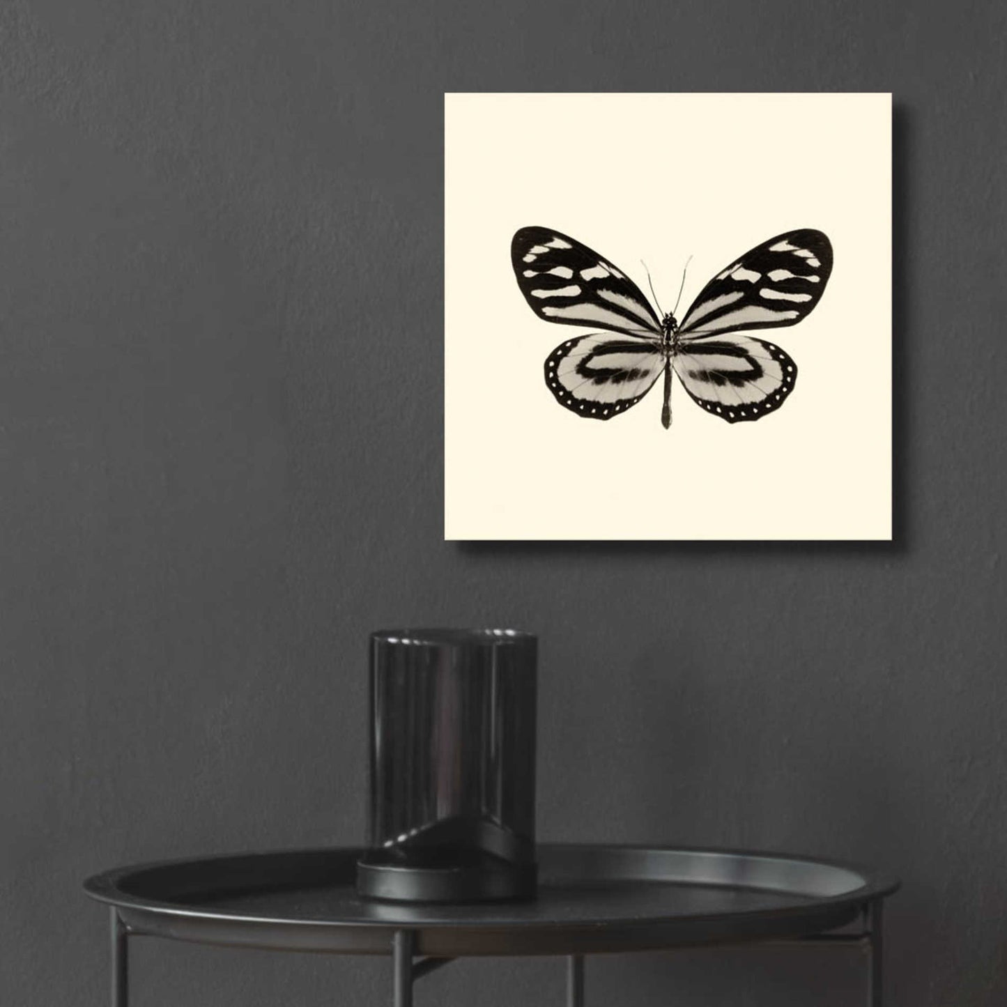 Epic Art 'Butterfly VIII B&W' by Debra Van Swearingen, Acrylic Glass Wall Art,12x12