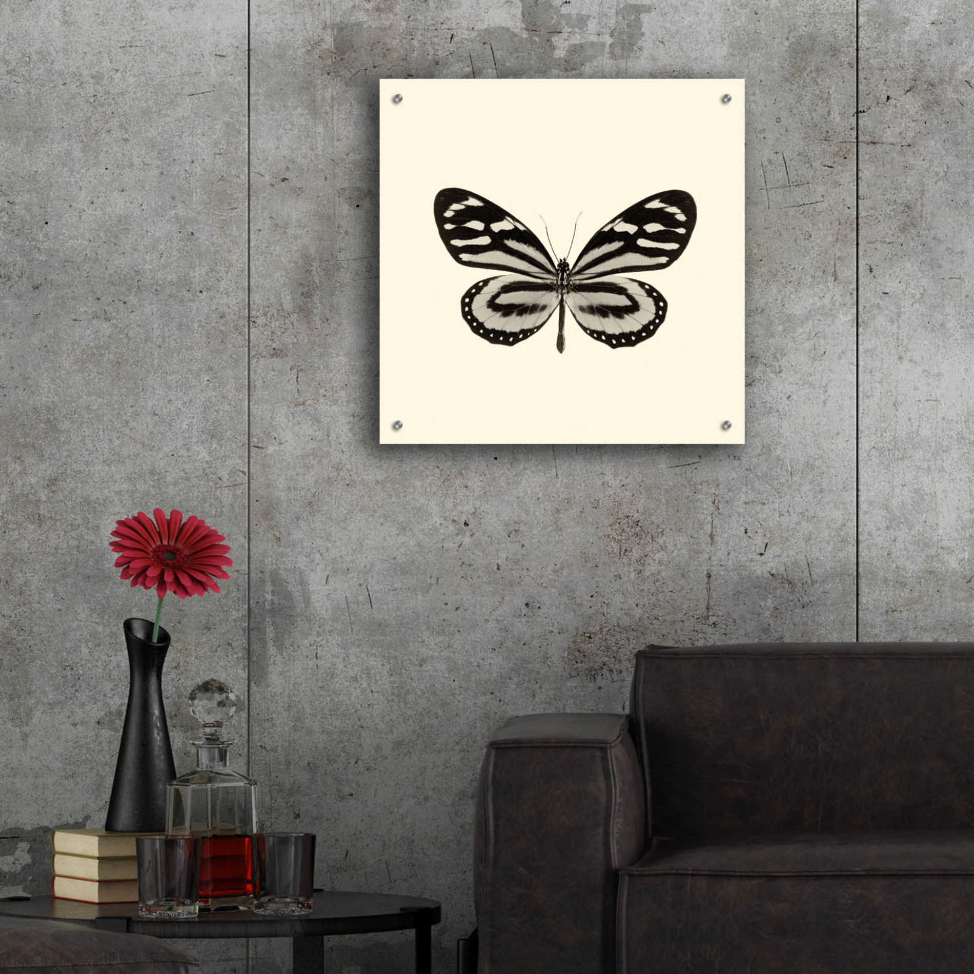 Epic Art 'Butterfly VIII B&W' by Debra Van Swearingen, Acrylic Glass Wall Art,24x24