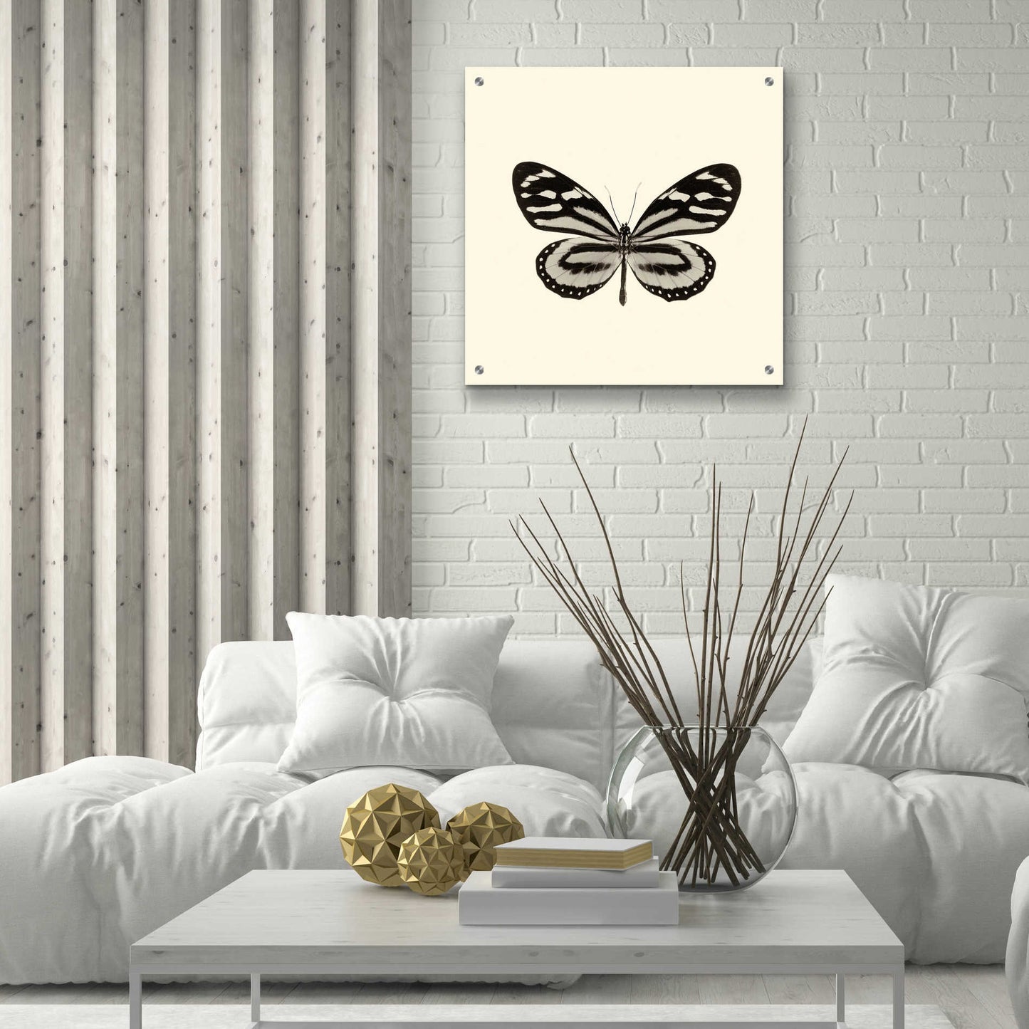 Epic Art 'Butterfly VIII B&W' by Debra Van Swearingen, Acrylic Glass Wall Art,24x24