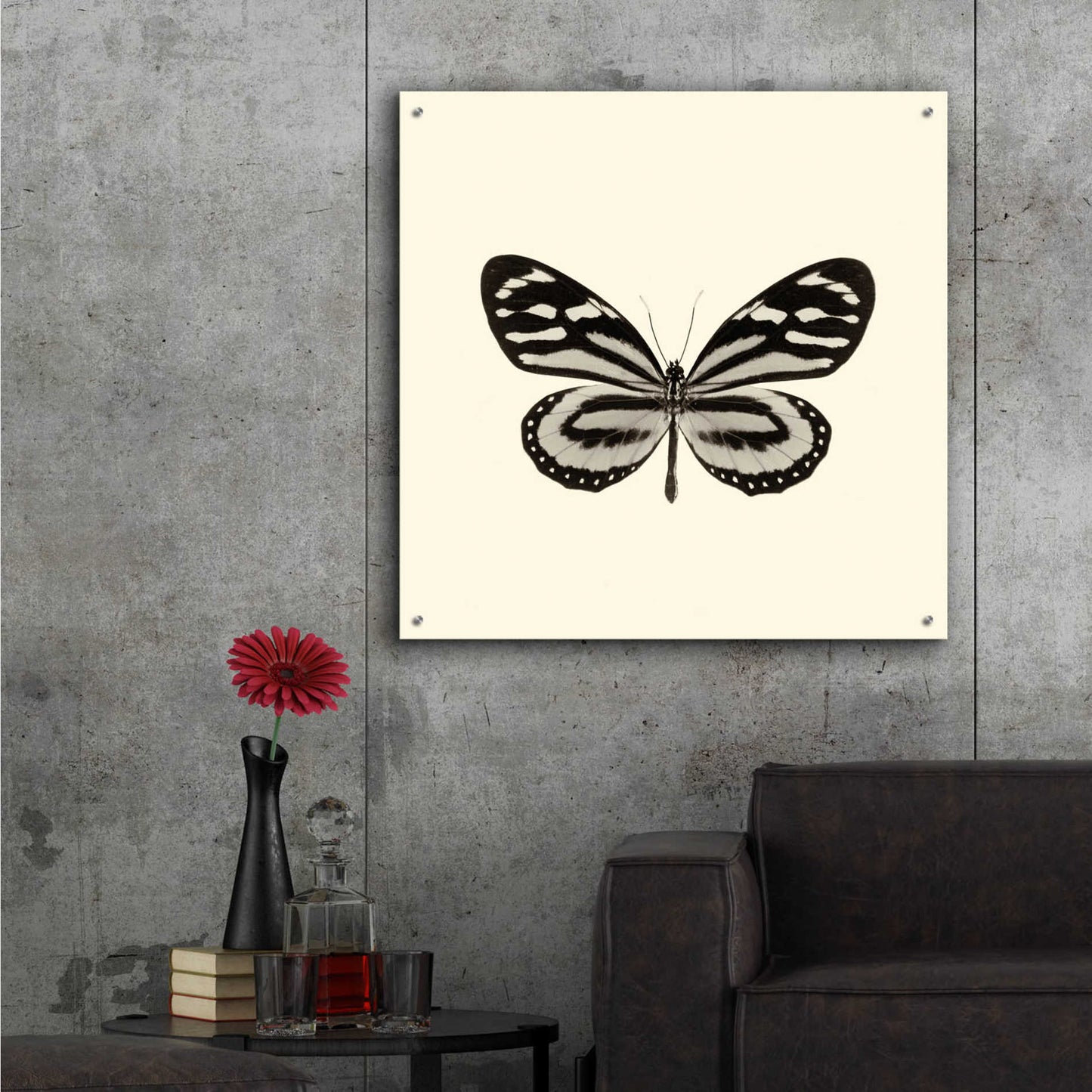 Epic Art 'Butterfly VIII B&W' by Debra Van Swearingen, Acrylic Glass Wall Art,36x36