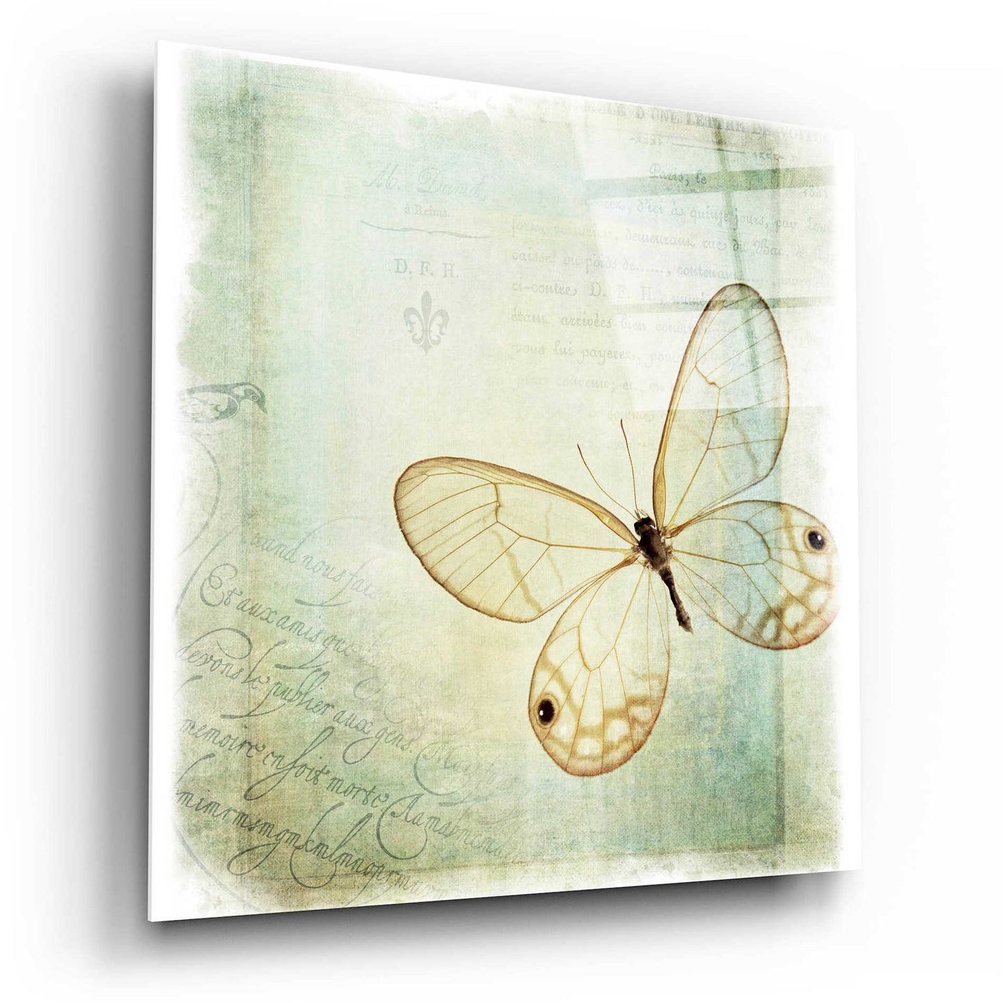 Epic Art 'Floating Butterfly I' by Debra Van Swearingen, Acrylic Glass Wall Art,12x12