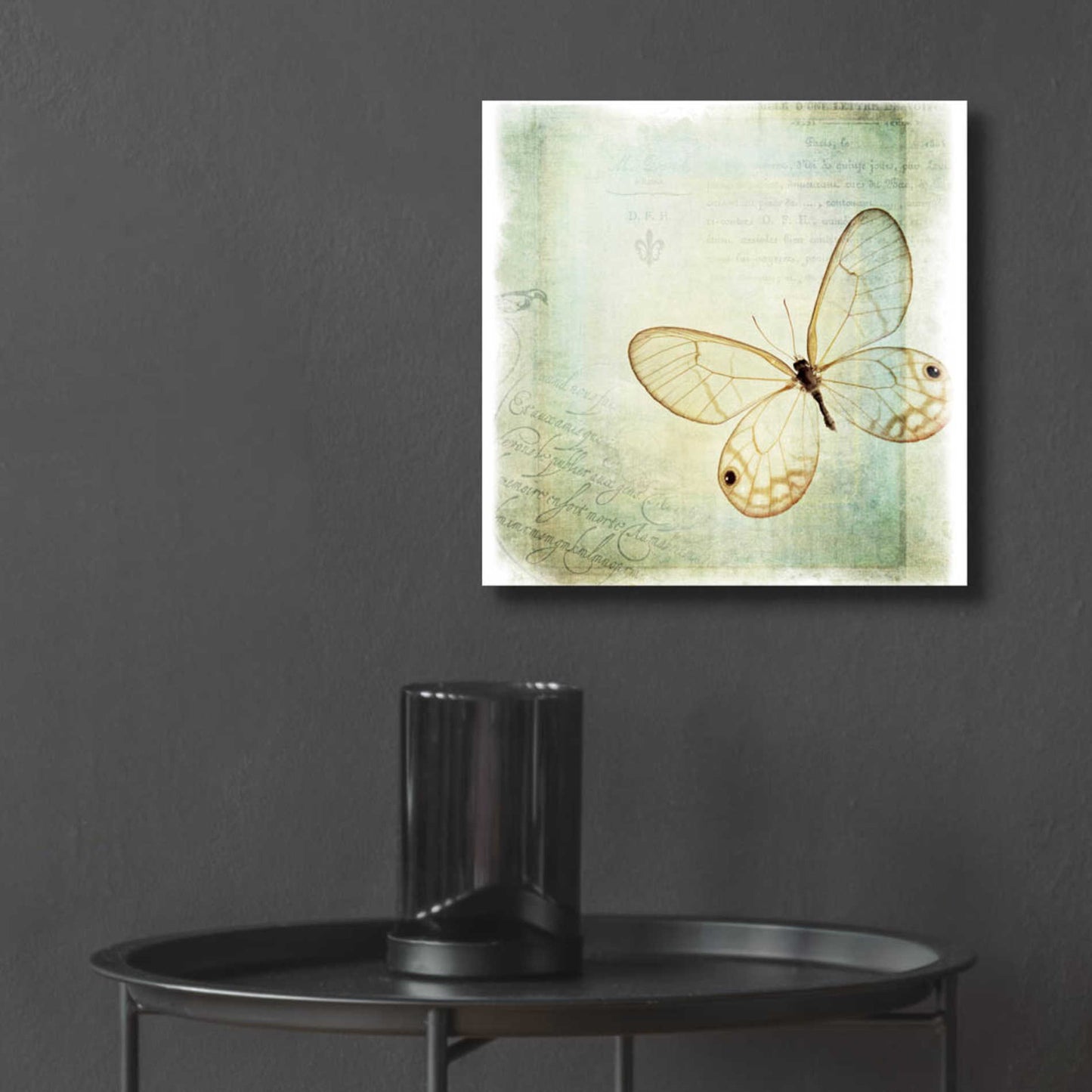 Epic Art 'Floating Butterfly I' by Debra Van Swearingen, Acrylic Glass Wall Art,12x12