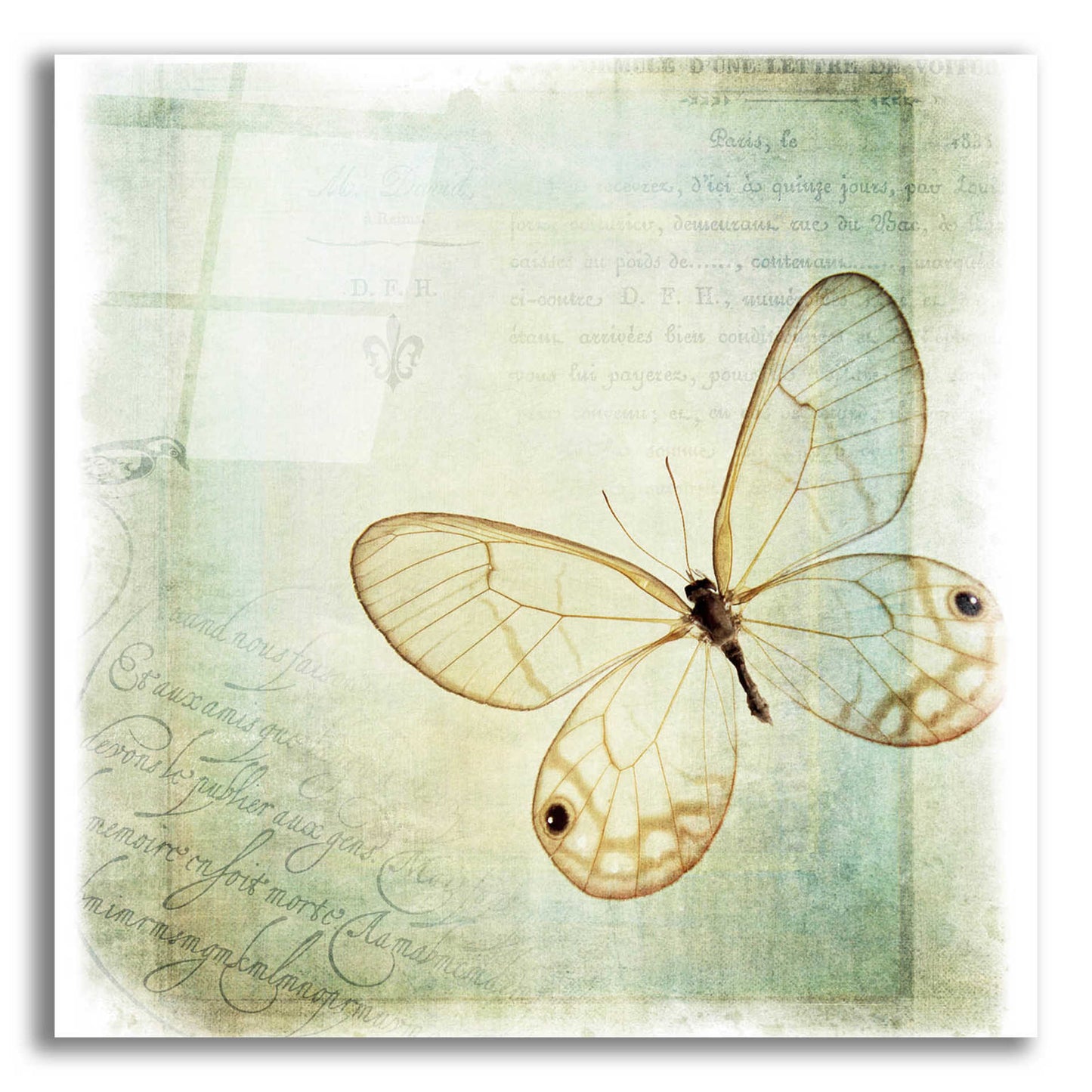 Epic Art 'Floating Butterfly I' by Debra Van Swearingen, Acrylic Glass Wall Art,12x12