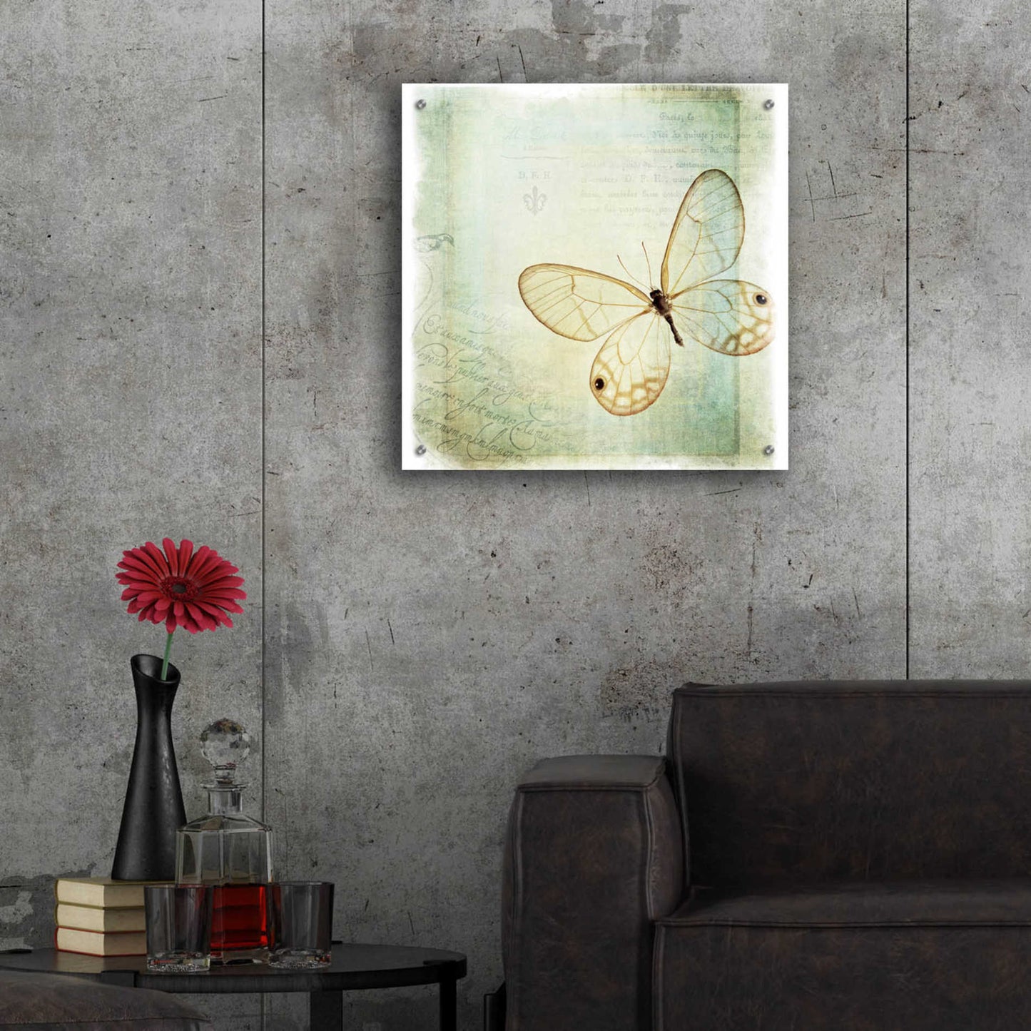 Epic Art 'Floating Butterfly I' by Debra Van Swearingen, Acrylic Glass Wall Art,24x24