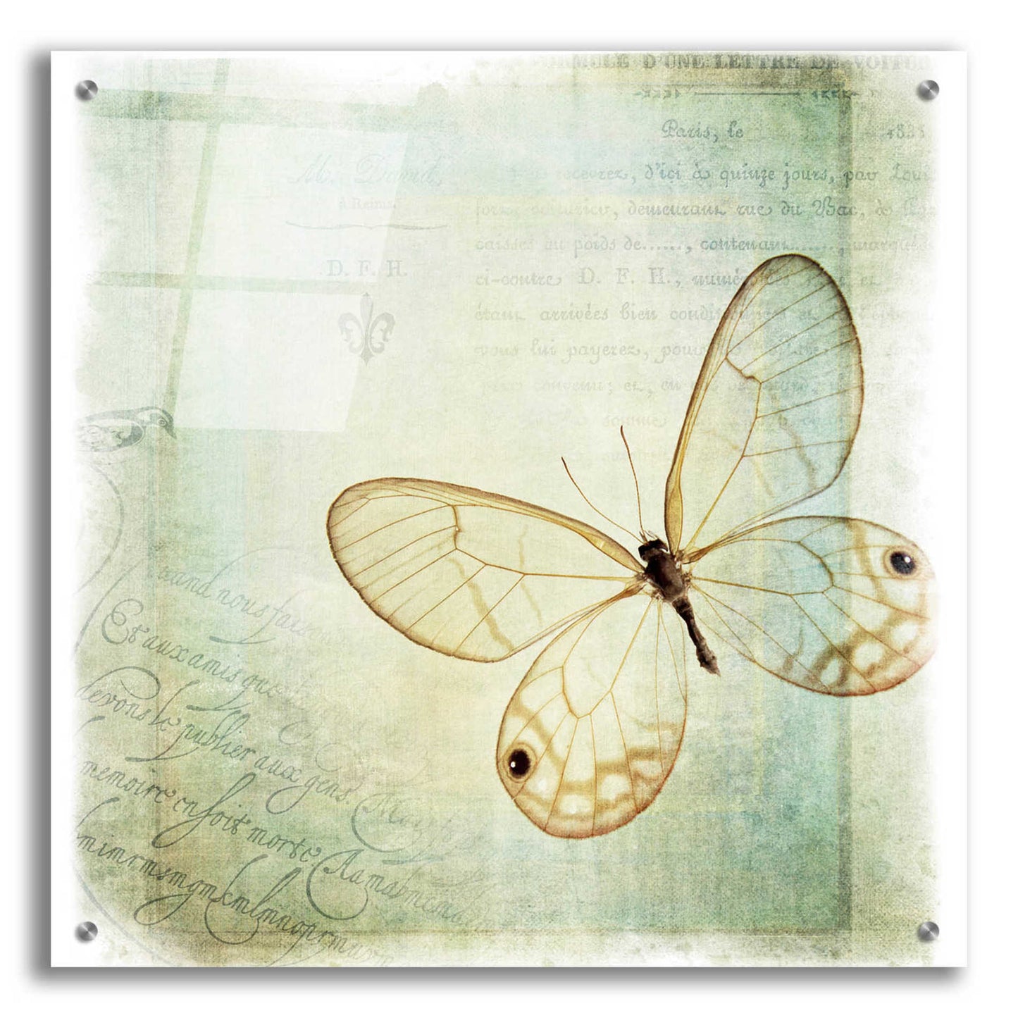 Epic Art 'Floating Butterfly I' by Debra Van Swearingen, Acrylic Glass Wall Art,24x24